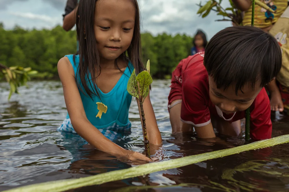 November 20, 2013 - Beung Kachhang village (Koh Kong). Members of the community participate in a Mangrove replanting activity. The project, sponsored by UNDP, aims at conservation of 500 ha of mangrove forest by demarcation of the area using cement pool and encouraging local participation especially women to manage and sustainable use the resources. © Thomas Cristofoletti / Ruom for UNDP