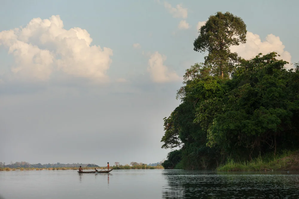 WWF’s conservation work in the greater Mekong