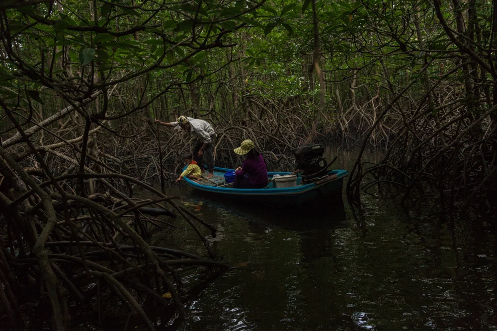 November 20, 2013 - Beung Kachhang village (Koh Kong). Mr. Lay Pich (31), her wife Hun Sophear (32) and their children Hun sombath (4) go fishing in the mangrove forest that surround the village. Even if the community is inside a natural protected area, Illegal sand dredging in the area have decimated the number of fish and crabs and it's more and more difficult to catch enough food for the local families. © Thomas Cristofoletti / Ruom for UNDP