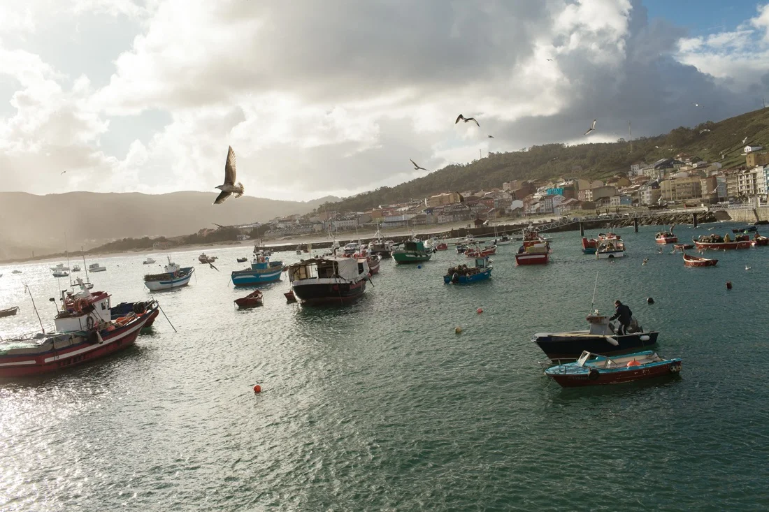 December 02, 2011 - Laxe (La Coruña). The small port of Laxe bases its economy on percebes’ harvesting and other fishing-related activities. © Thomas Cristofoletti / Ruom