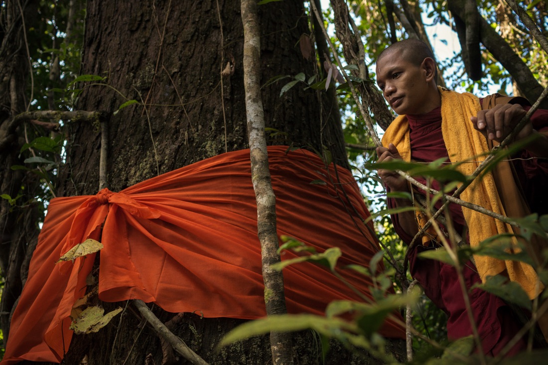  November 4, 2013 - Areng Valley (Koh Kong). A monk during a tree-blessing ceremony in a forest nearby Pra Lay Village. © Thomas Cristofoletti / Ruom 