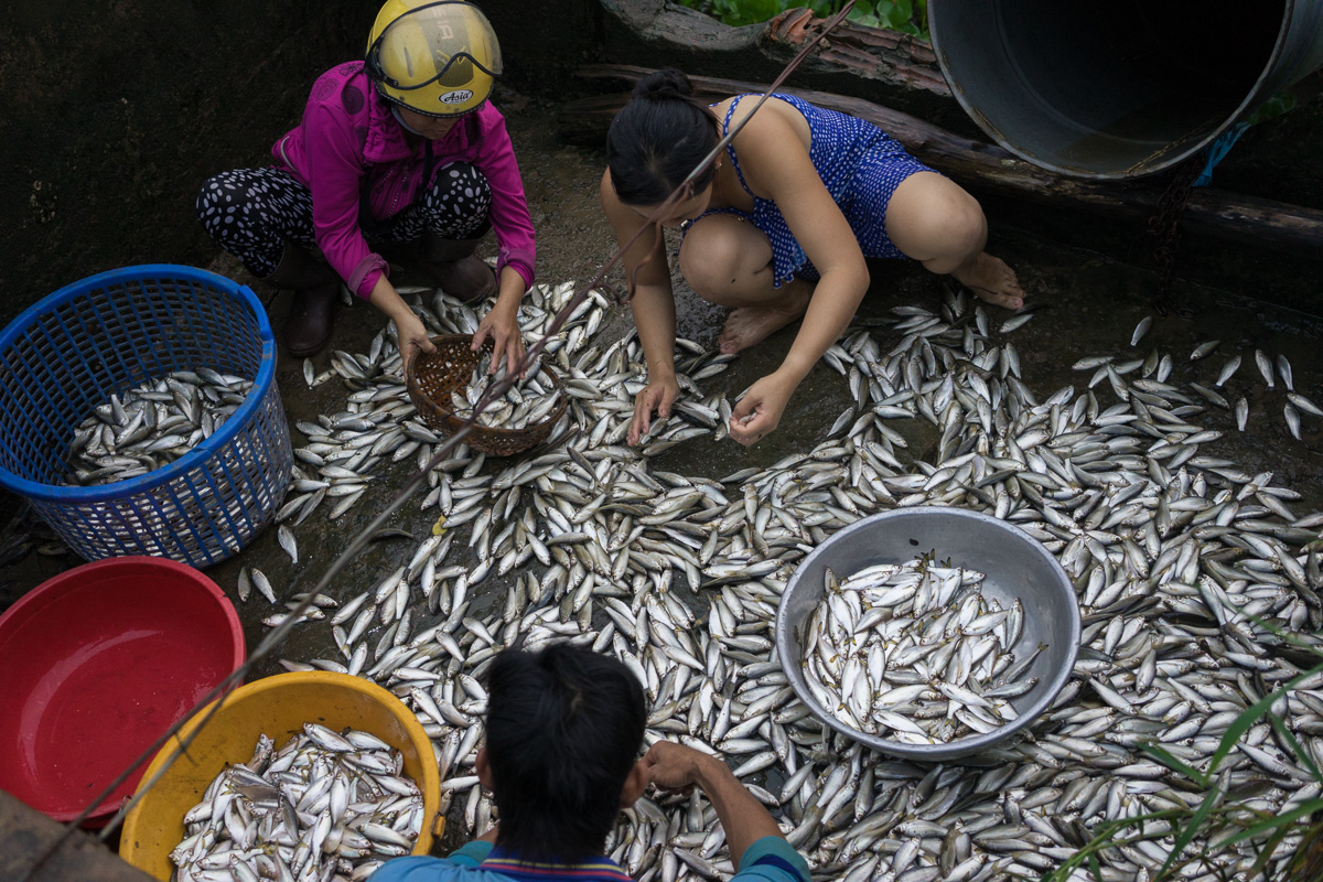 Mekong Delta - Vietnam