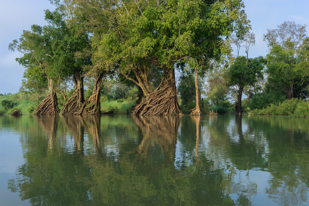WWF’s conservation work in the greater Mekong