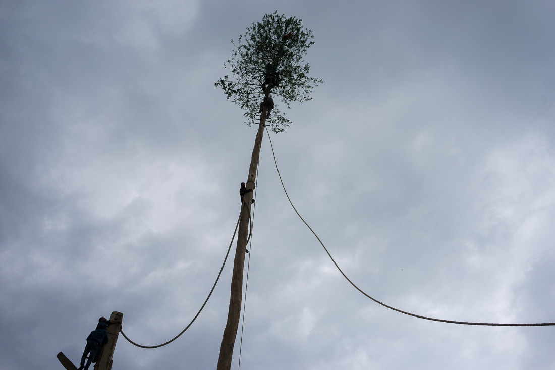 Il Maggio di Accettura