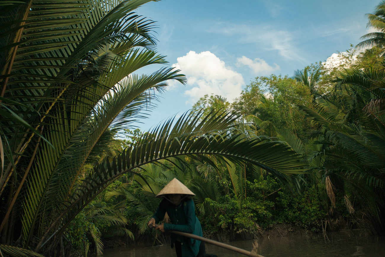 Mekong: a river in chains