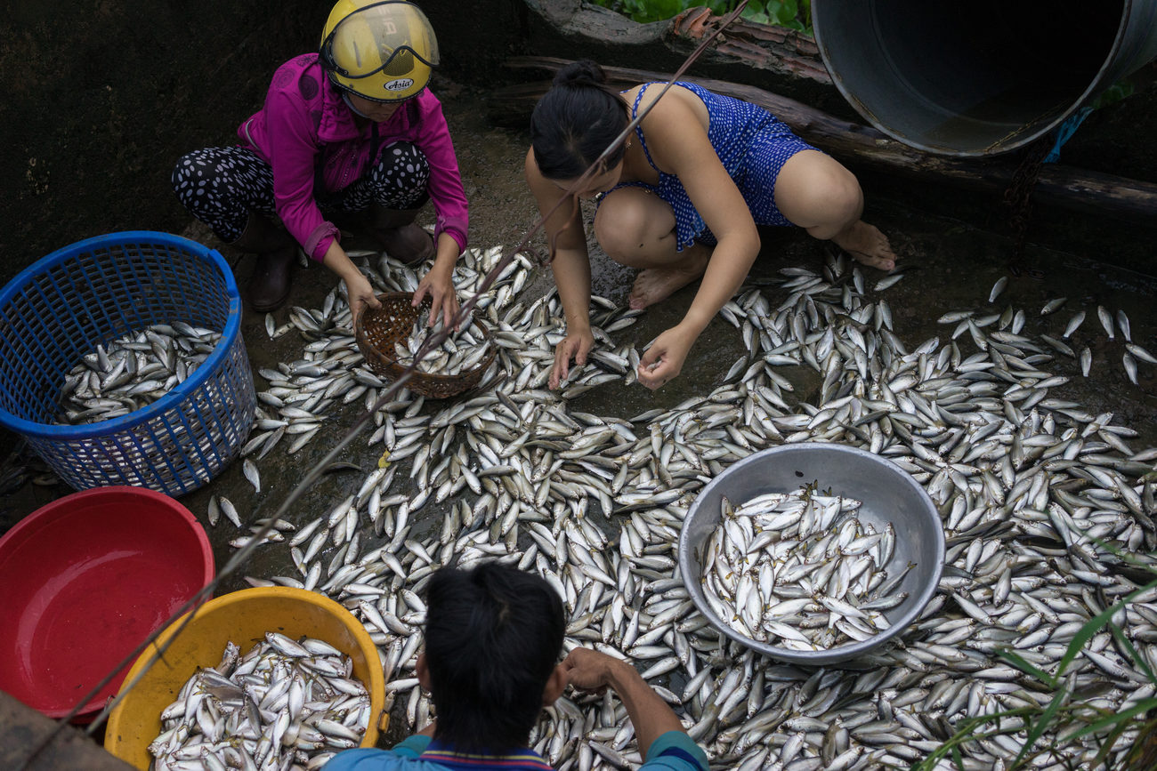 Mekong: a river in chains