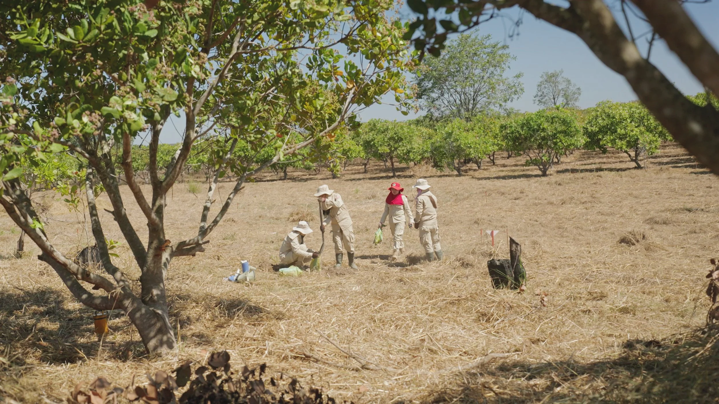 VOA_UXO_Deminers_Cambodia21.jpg