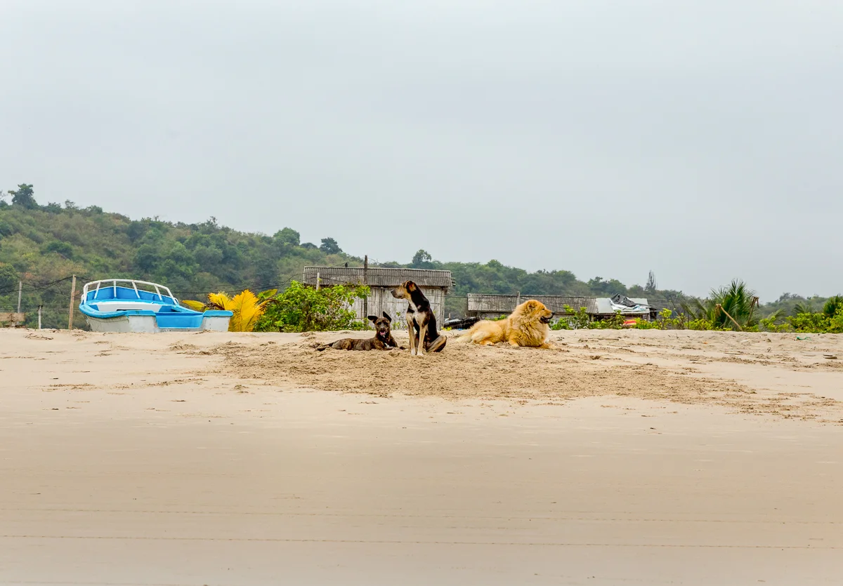 CV3A9769-Edit.jpg
