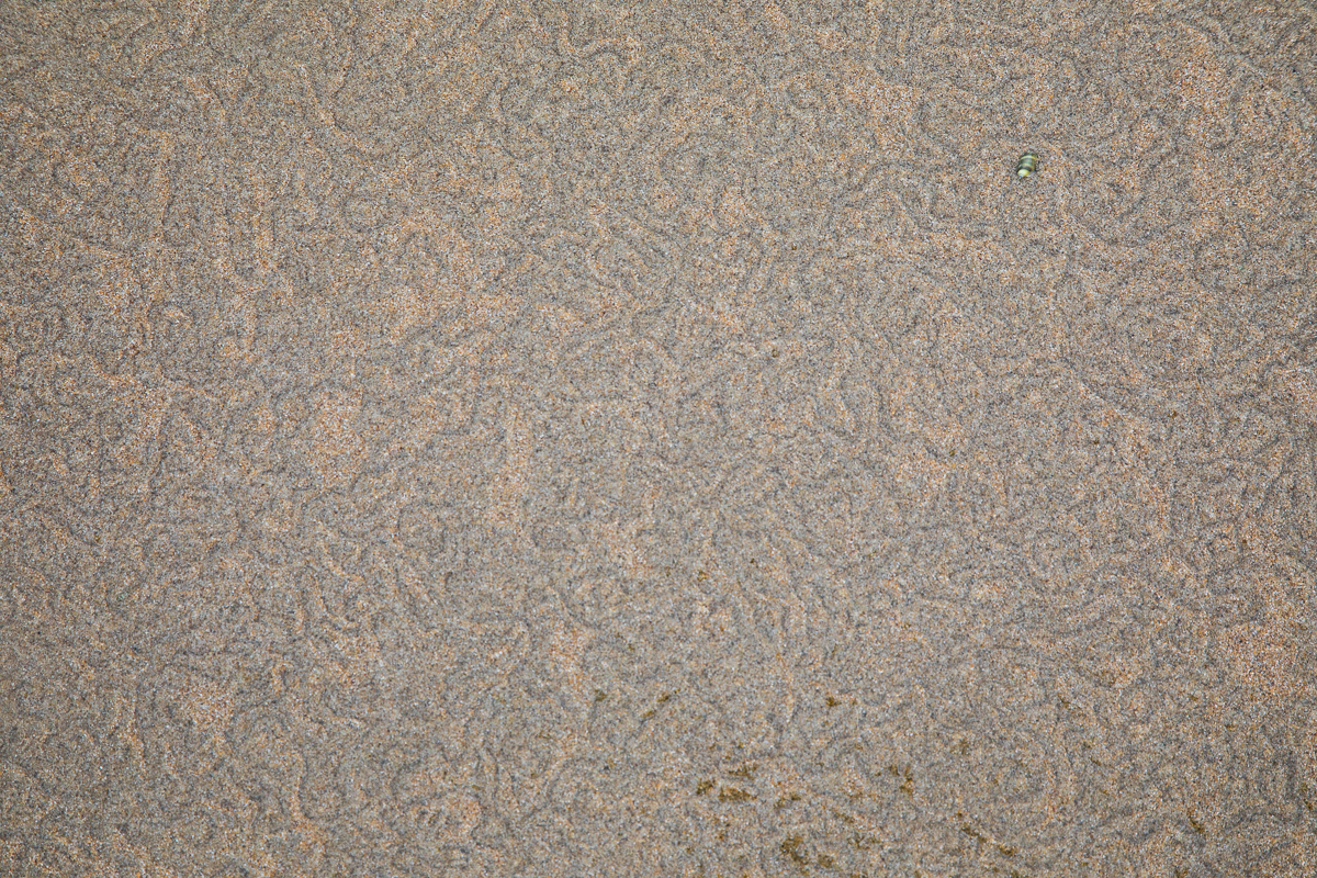 CV3A9818.jpg