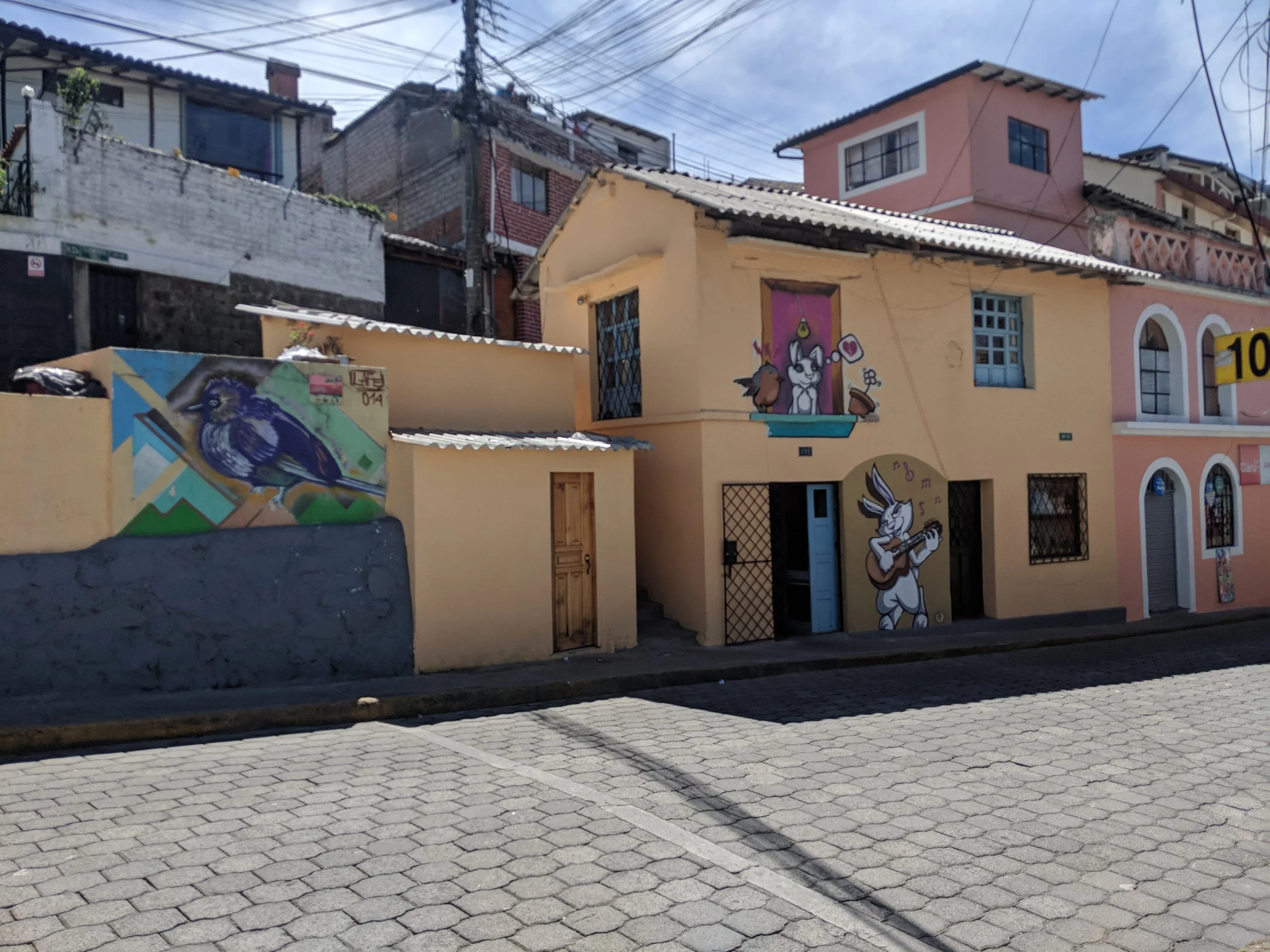 IMG_20180609_105602.jpg