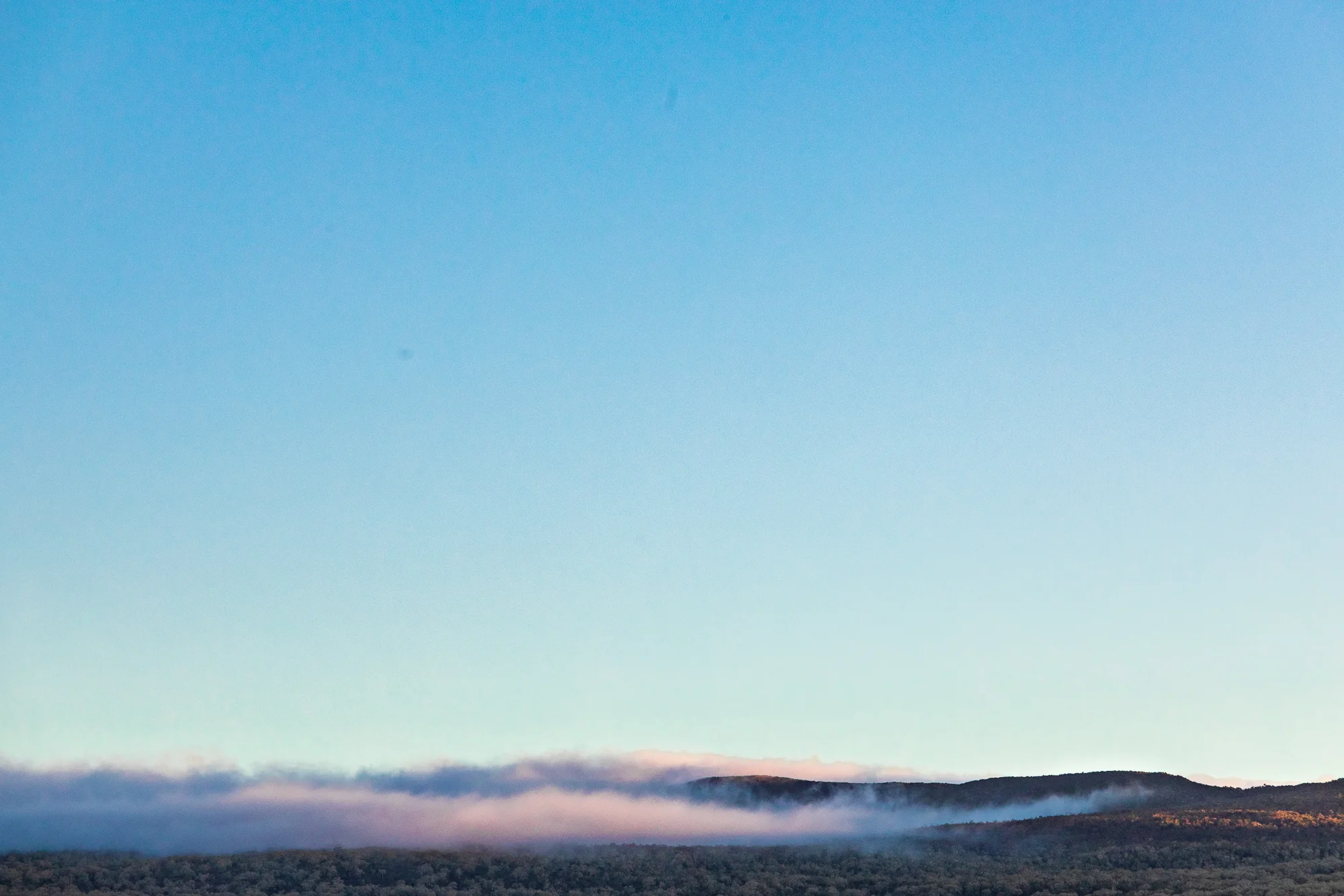 CV3A5620-HDR.jpg