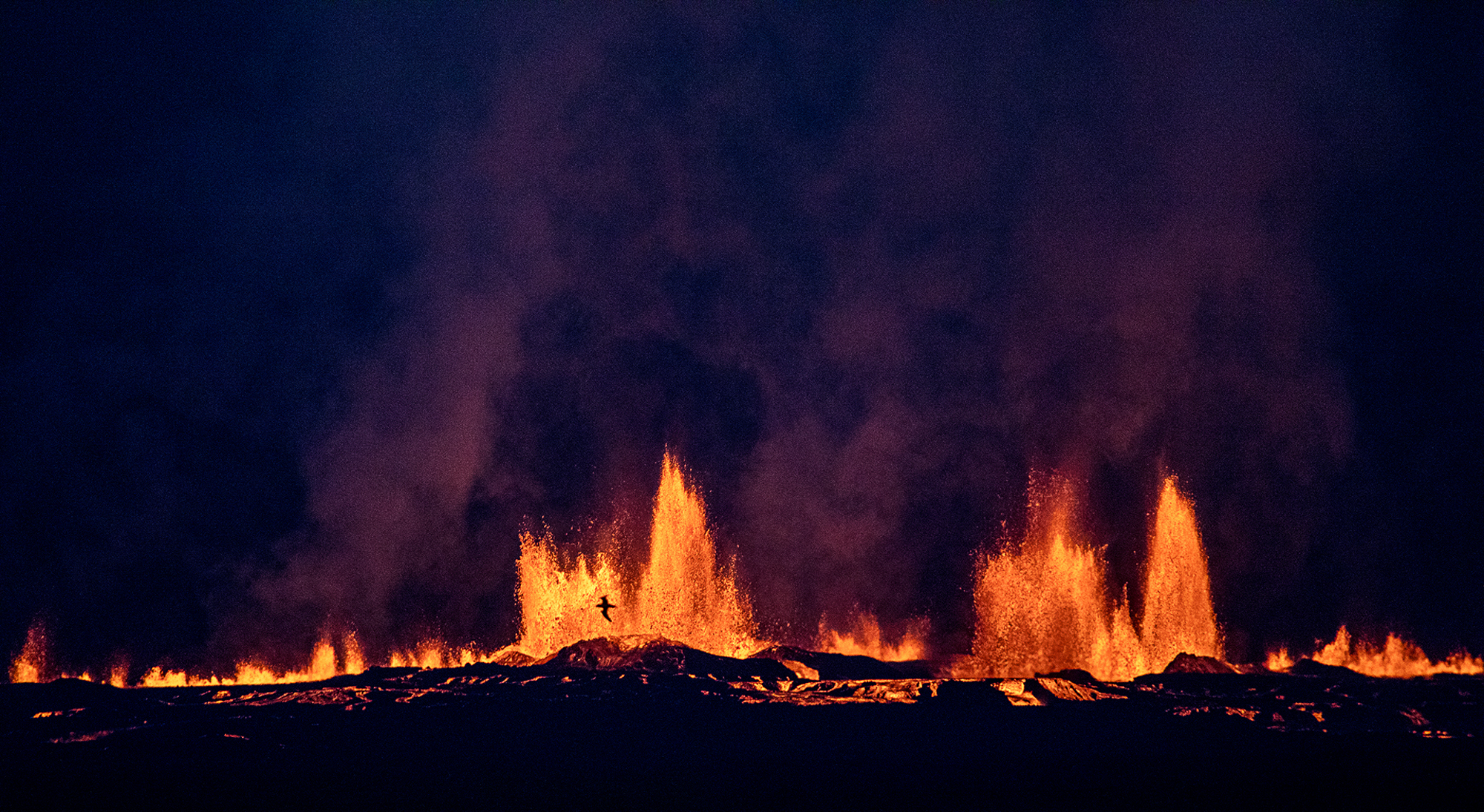 Volcano_closeup_bird.jpg