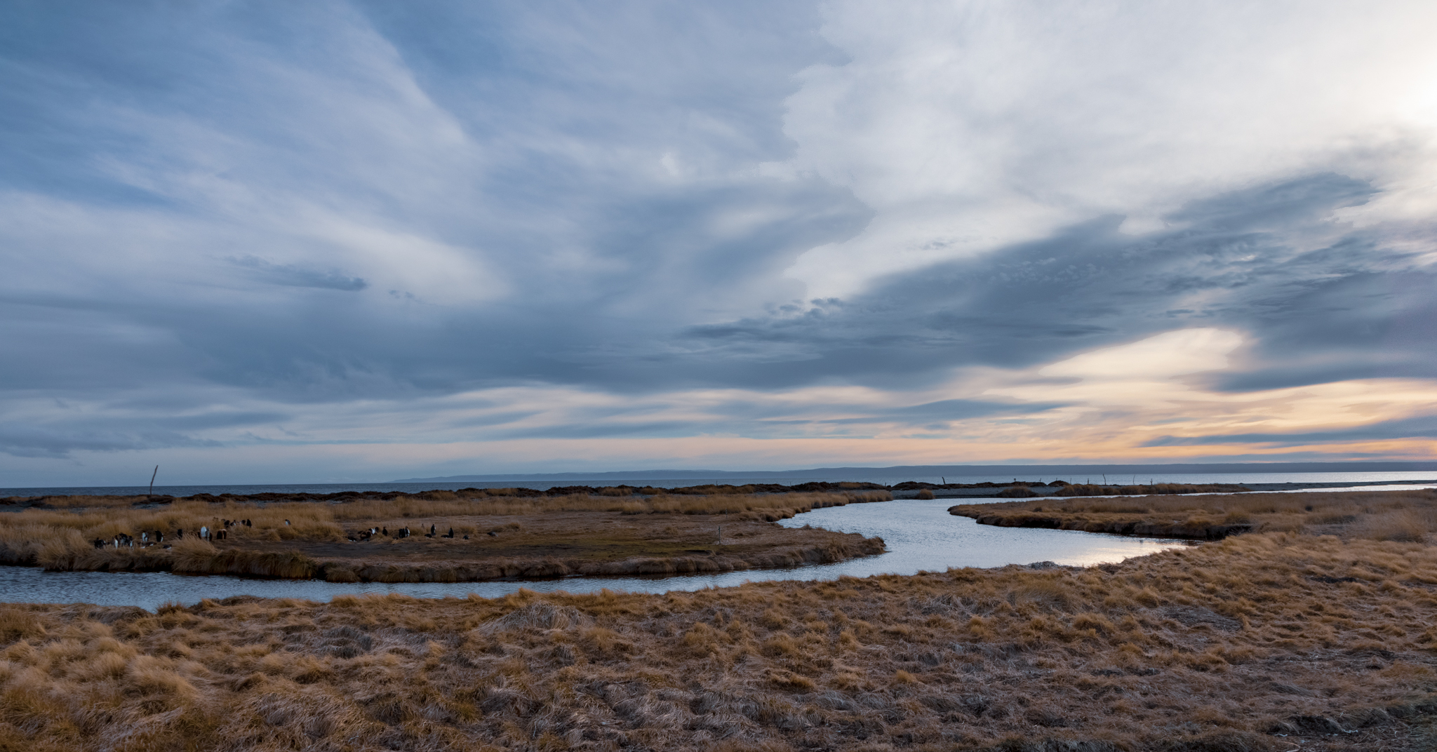 CV3A8144-HDR.jpg