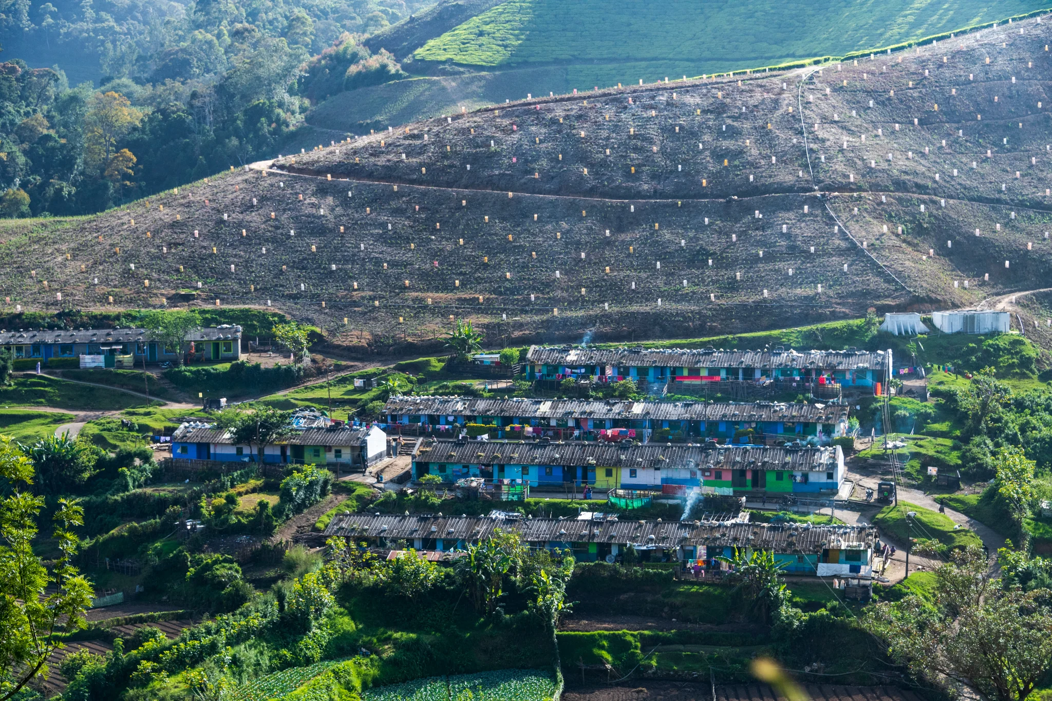 Munnar1-59.jpg