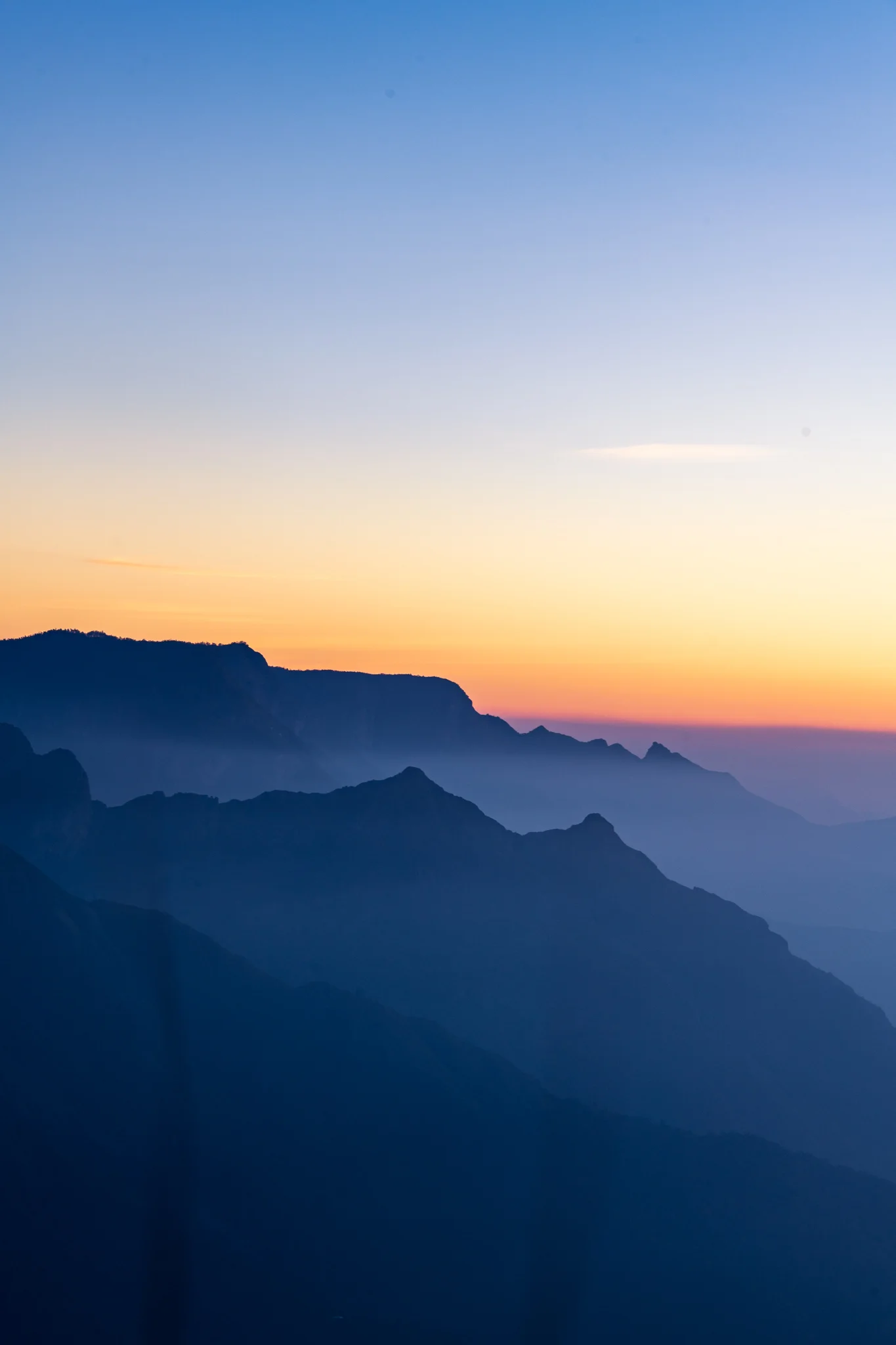 Munnar1-75.jpg