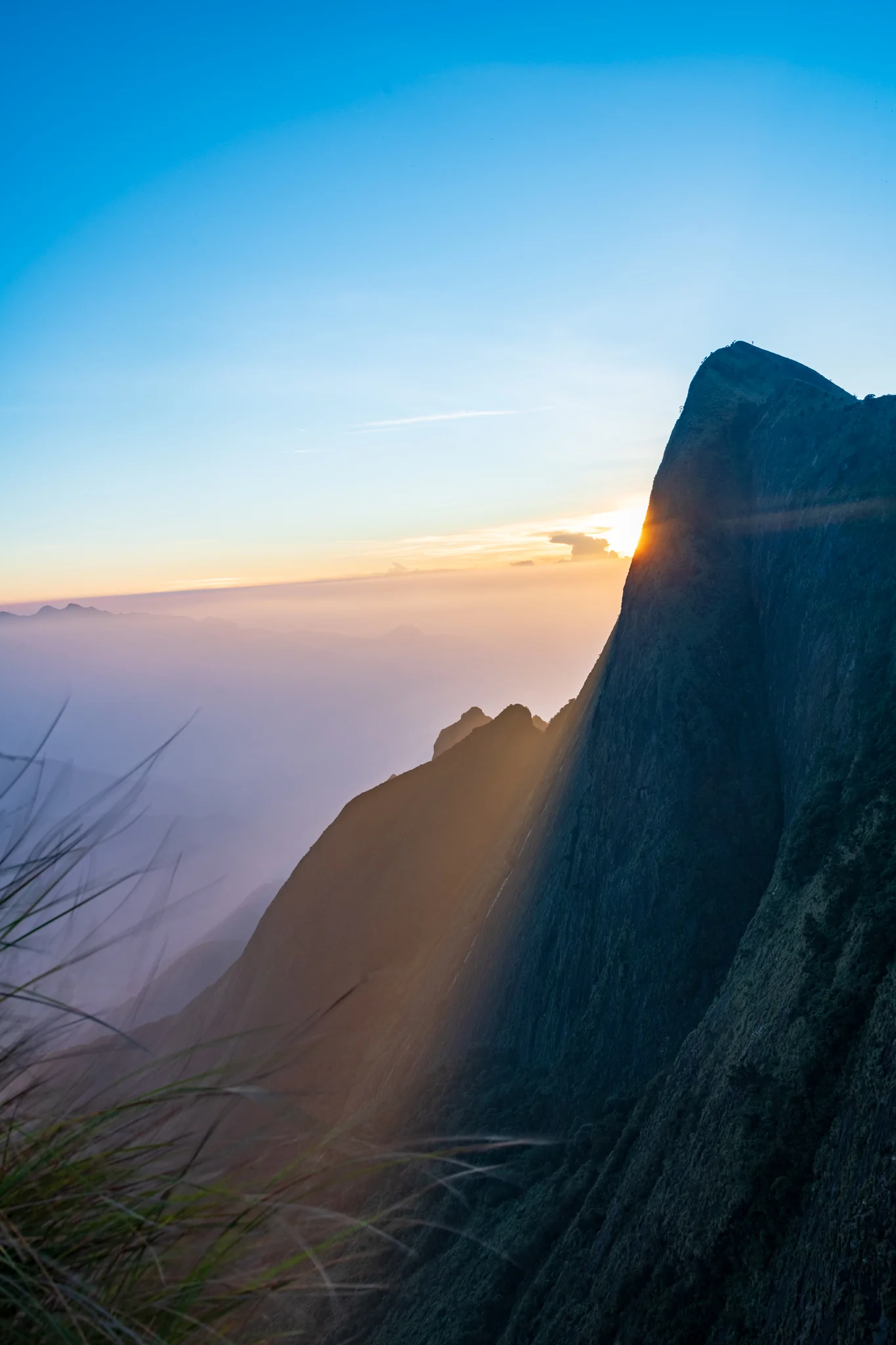Munnar1-76.jpg
