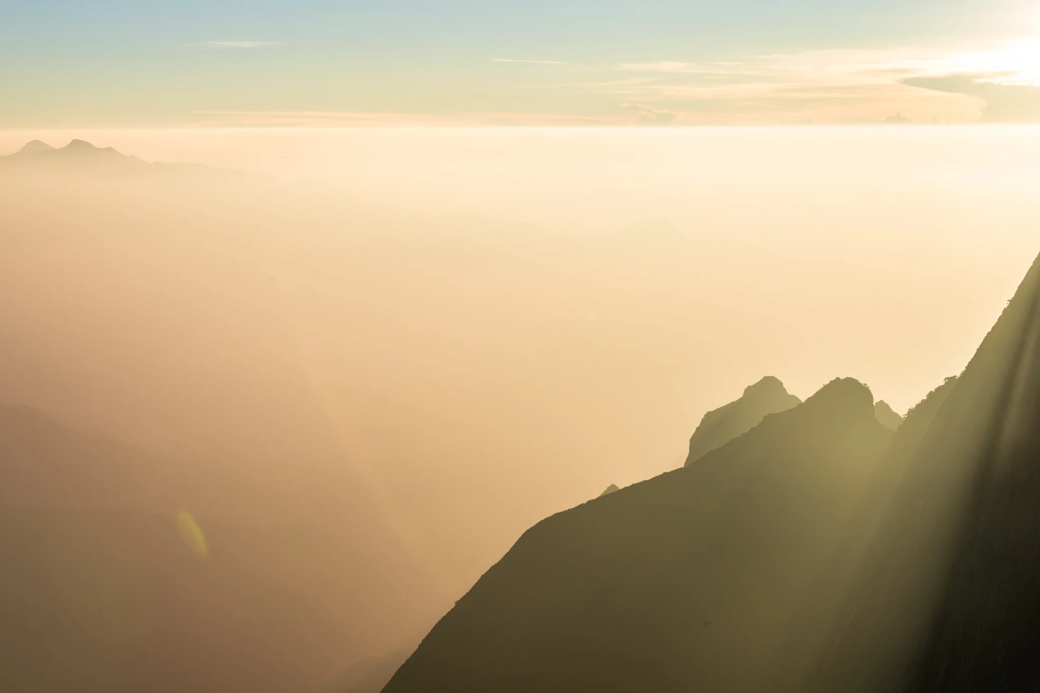 Munnar1-80.jpg