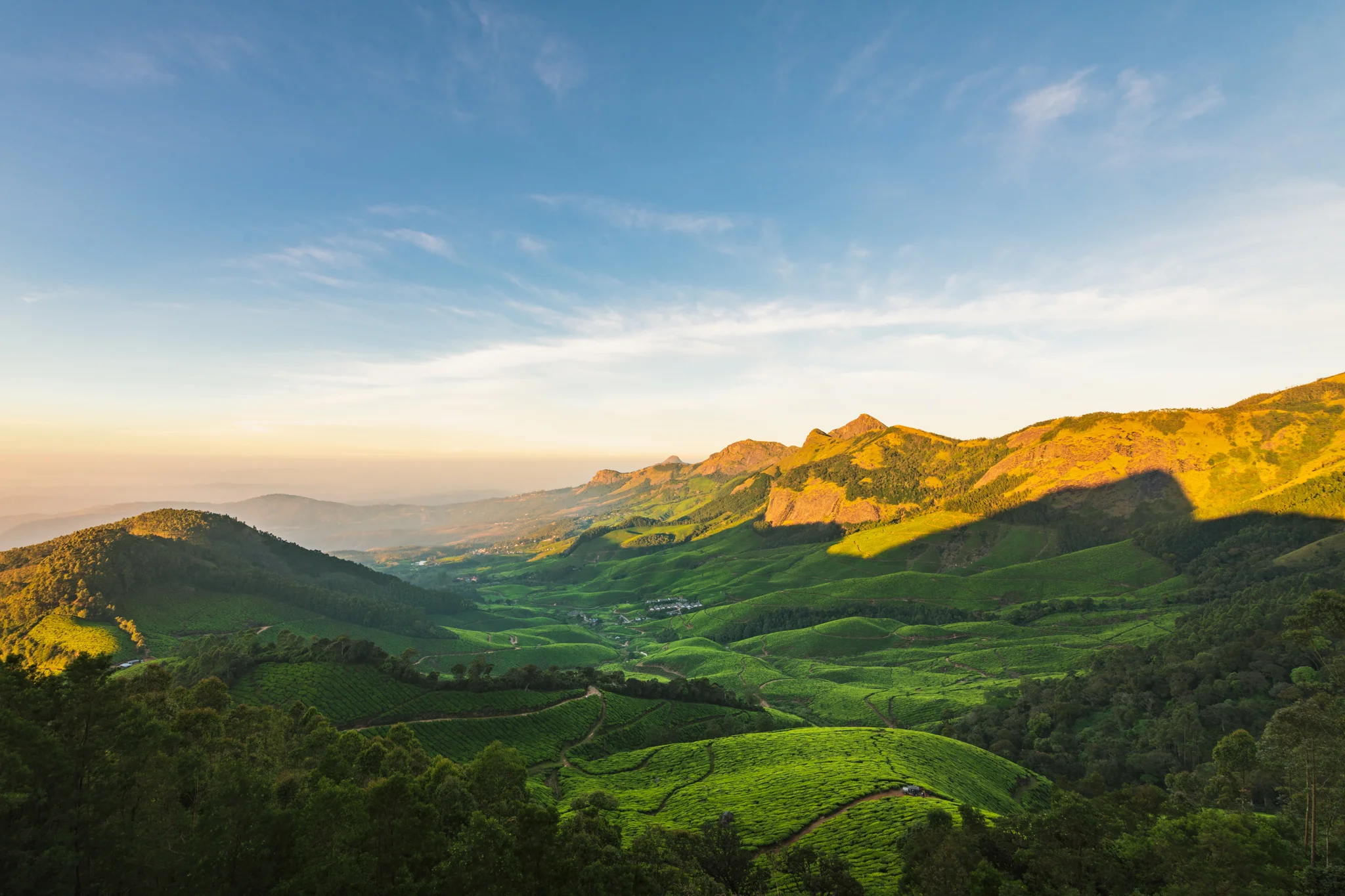 Munnar1-81.jpg