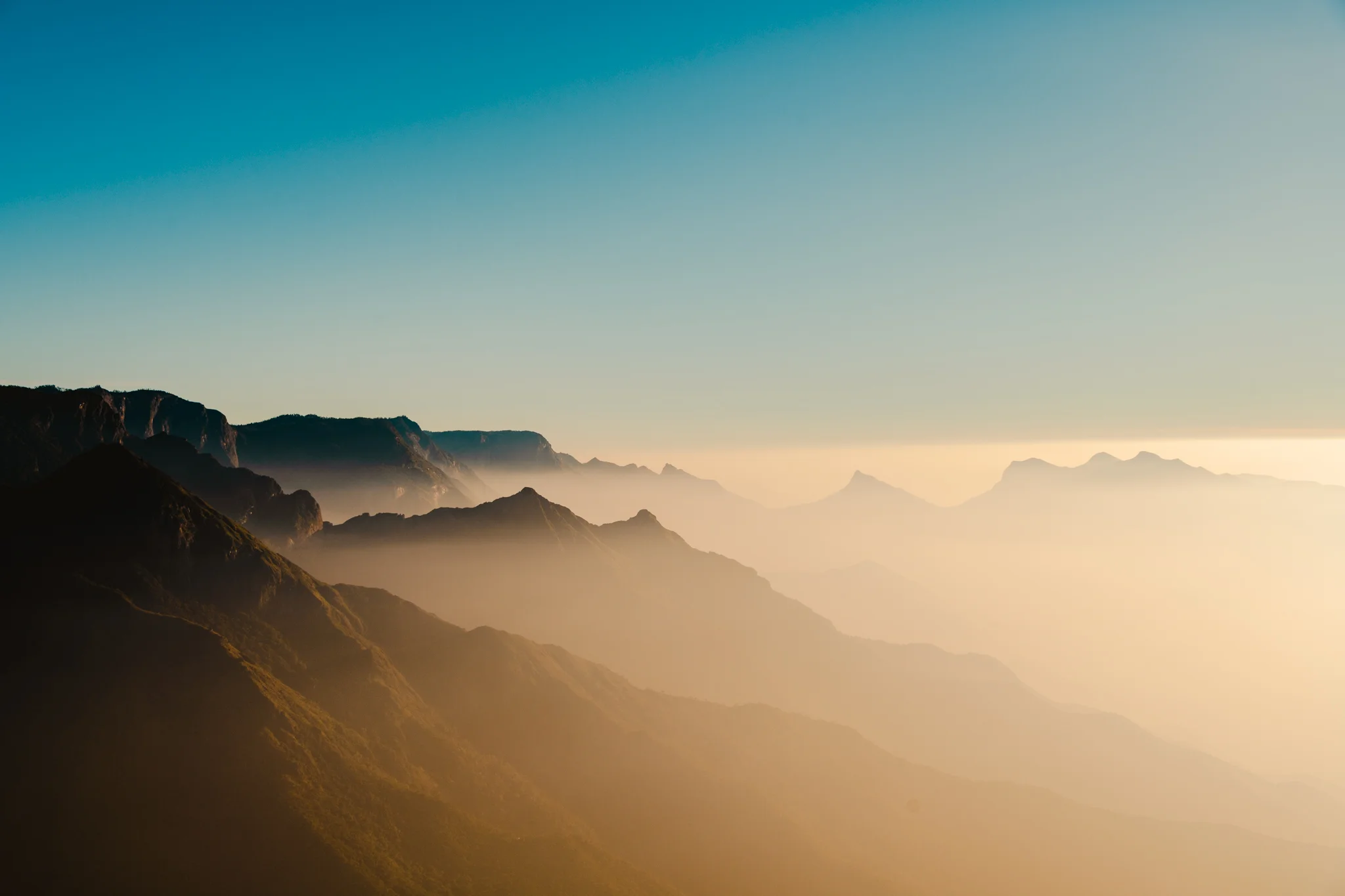 Munnar1-93.jpg