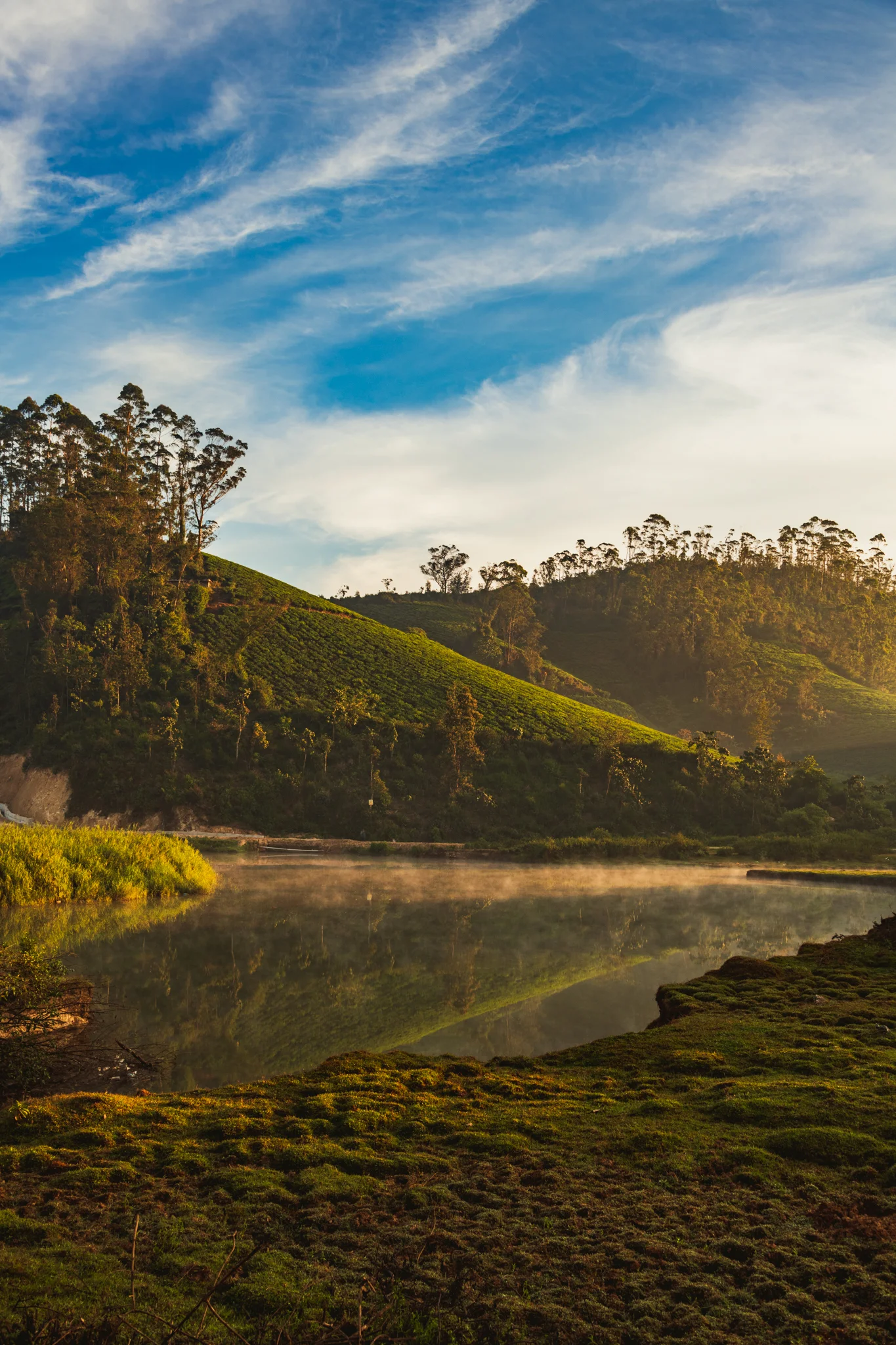 Munnar1-98.jpg