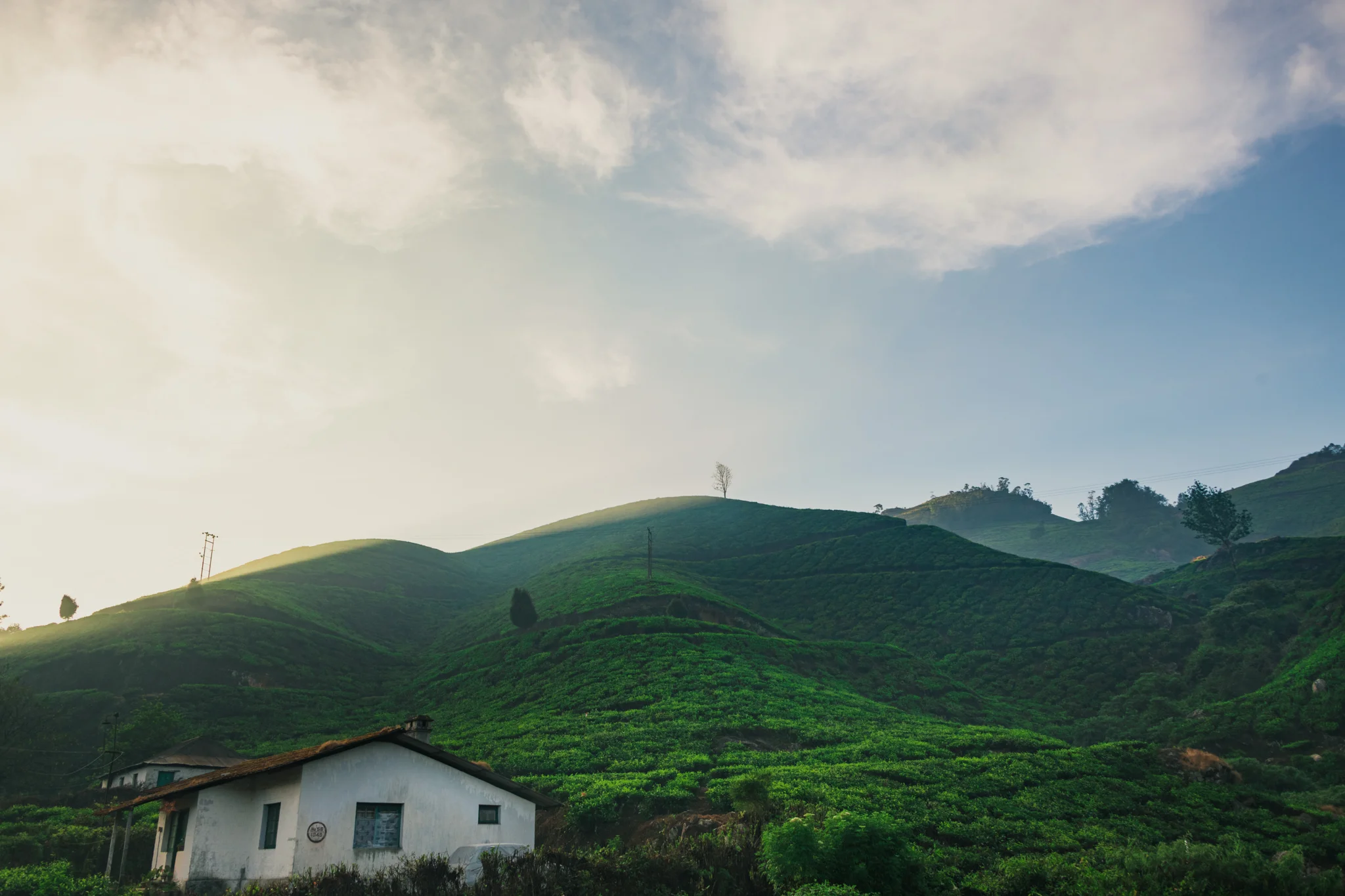 Munnar1-101.jpg