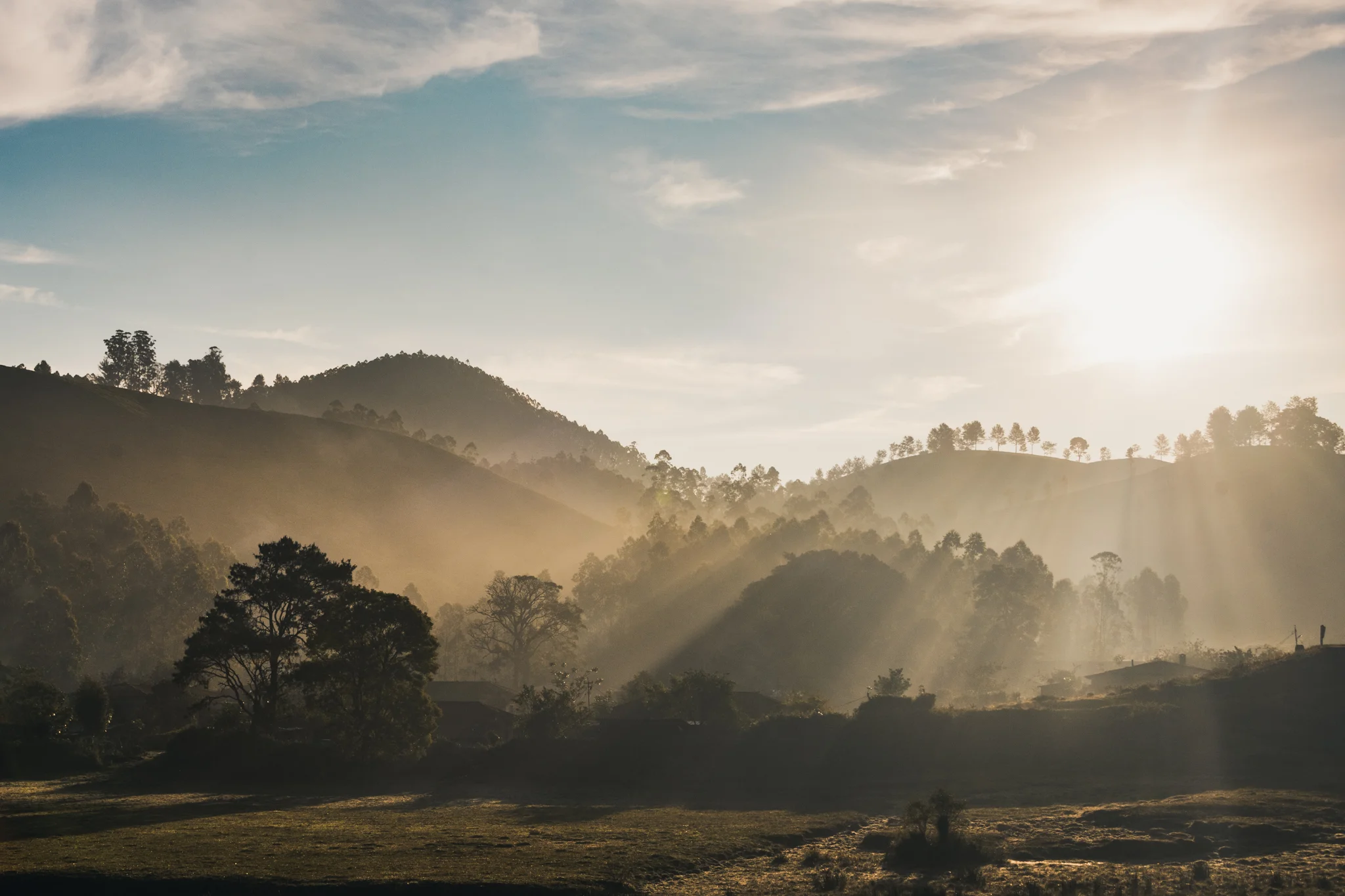 Munnar1-105.jpg