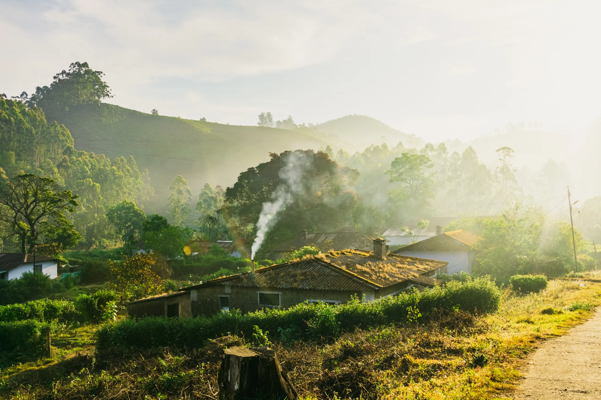 Munnar1-109.jpg