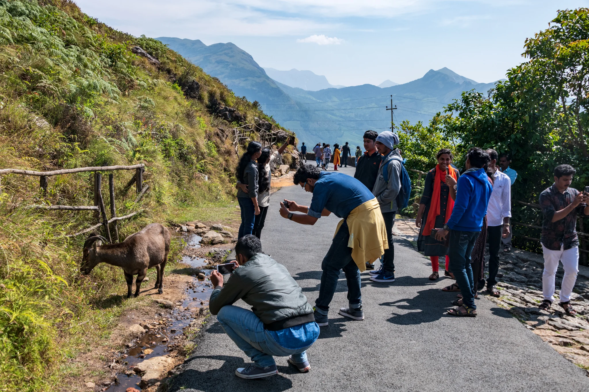 Munnar1-114.jpg