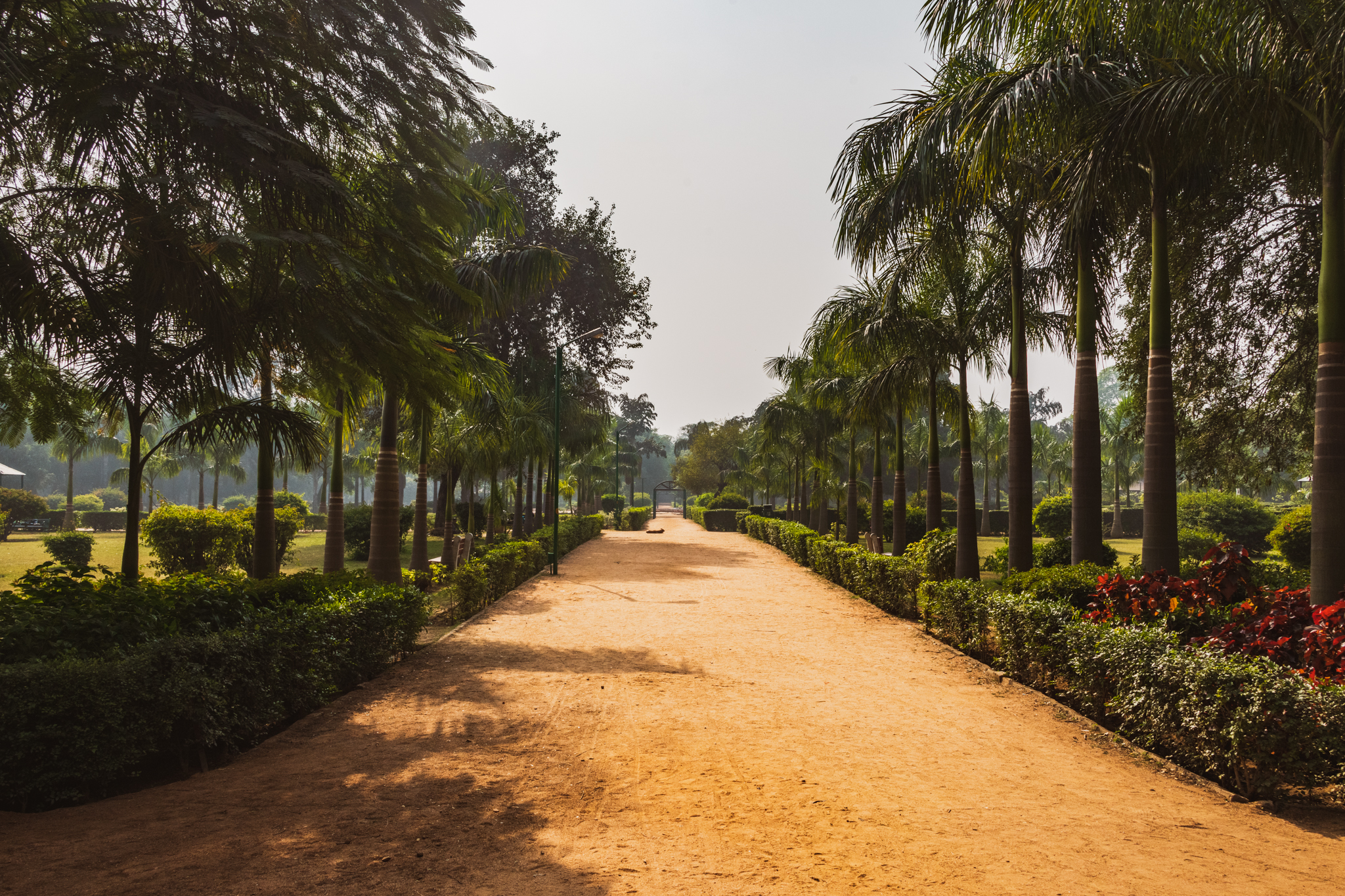 Delhi-2.jpg