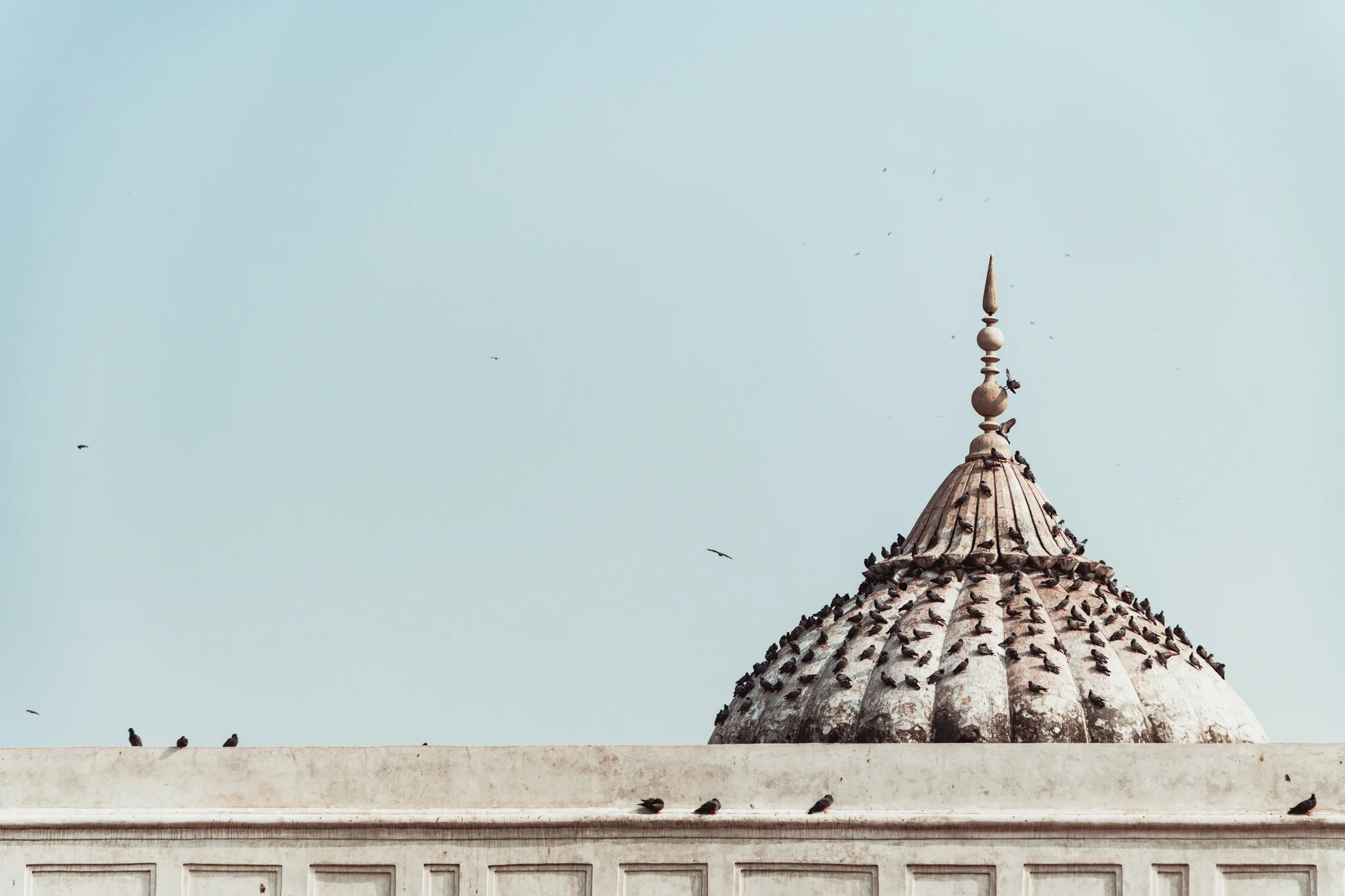 Delhi-33.jpg
