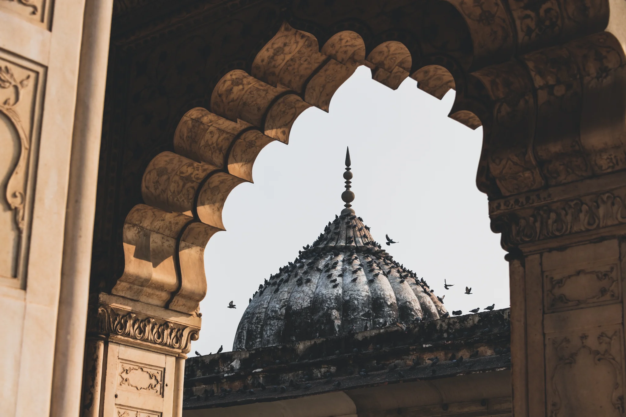 Delhi-38.jpg