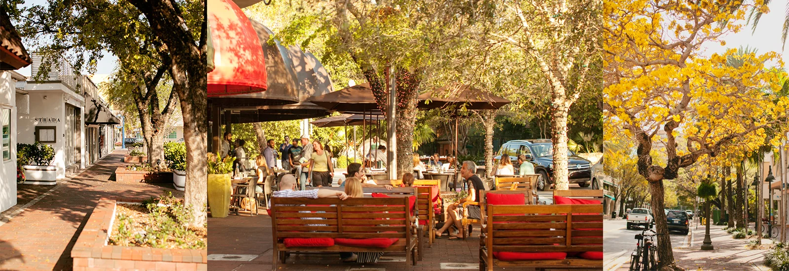 blog 38 coconut grove.jpg