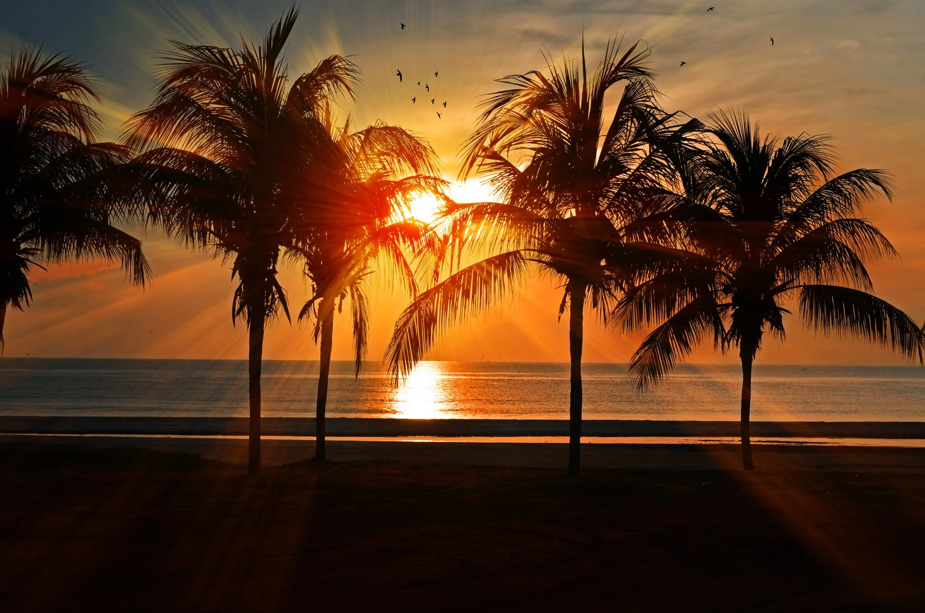 Monthly Happenings in South Florida