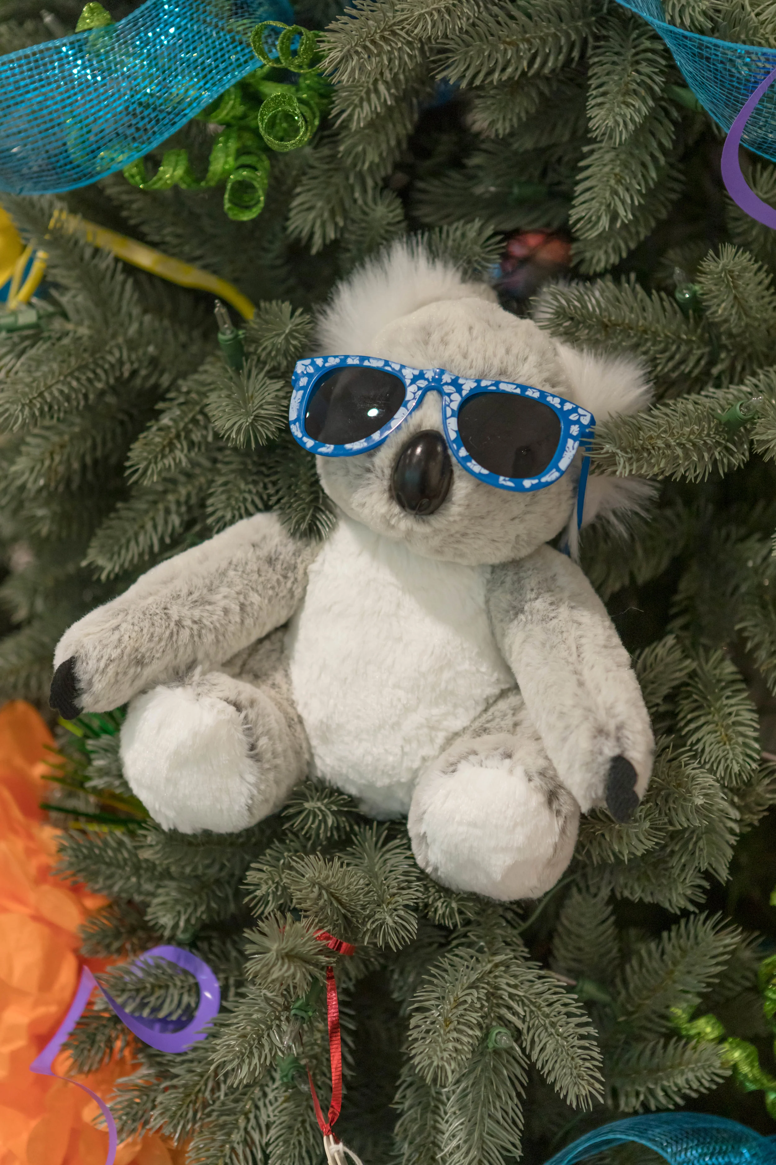 One Kool Koala Bear! The Koala bear is B Brave’s symbol. His nickname was Joey Bear, and one significant way that Sam & Sara cared for Joey was by holding him as he lost all ability to support and hold himself up.