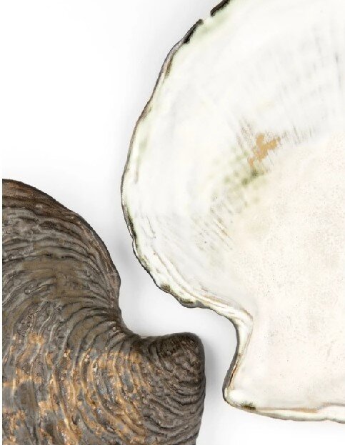 Yarnnakarn Scallop Plate