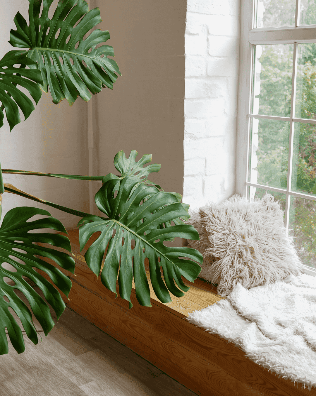 Layered textiles like throws and pillows softening a rental and making it feel more like home.