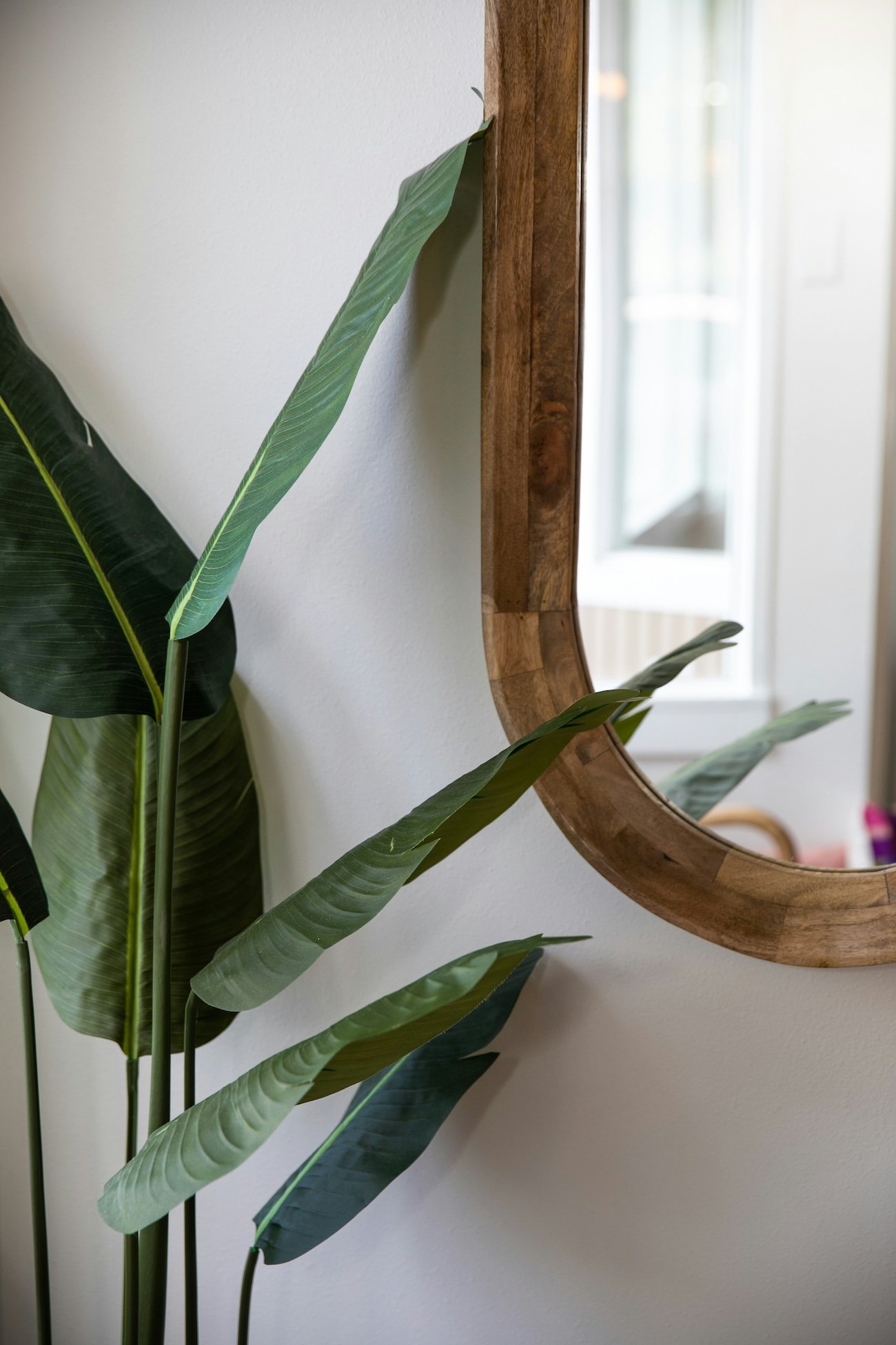 Minimal, clutter-free living space with a plant adding warmth and balance.