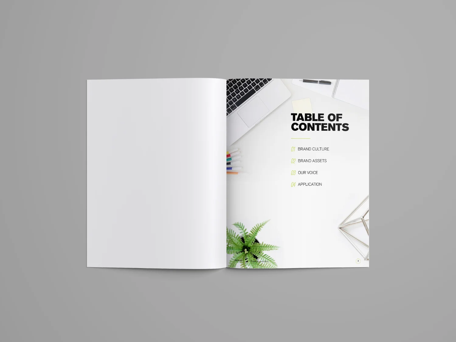 02_Brand Guideline Brochure Mockup - TCSpread.jpg