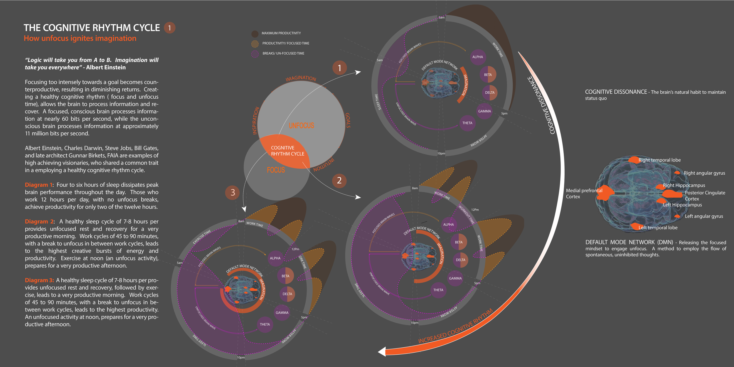 Diagram of the cognitive rhythm cycle, illustrating sleep, work, and rest patterns. The diagram includes two circular charts showing sleep schedules and brain activity, with labels for brain regions like the hippocampus and cortex. It features annotations on productivity and focus, the default mode network, and the impact on imagination and cognition. The infographic emphasizes how unfocus affects brain function and productivity.