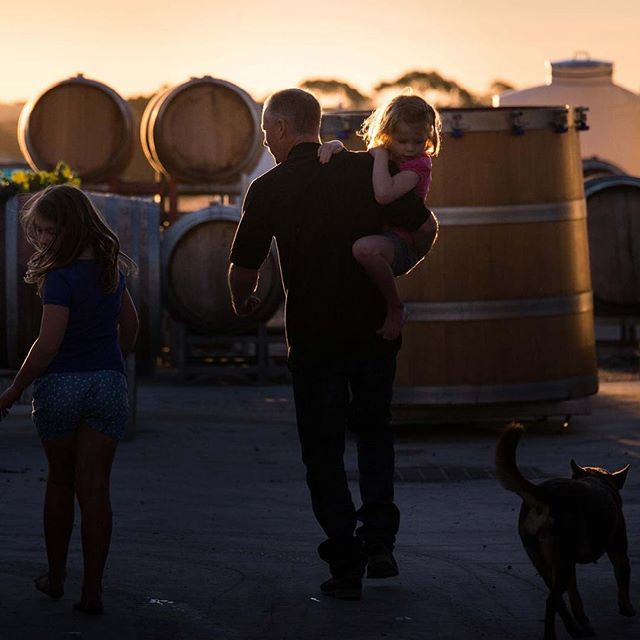 Schwarz Wines, Barossa Valley 🌫
.
Cheeky regram of this gorgeous photo of Jason Schwarz and his kids. This man crafts forward thinking wines from classic varietals in the Barossa, using Euro thinking to allow the old vineyards to do the talking
.
Available in SA exclusively via Vinify Wine Co
.
@schwarzwineco