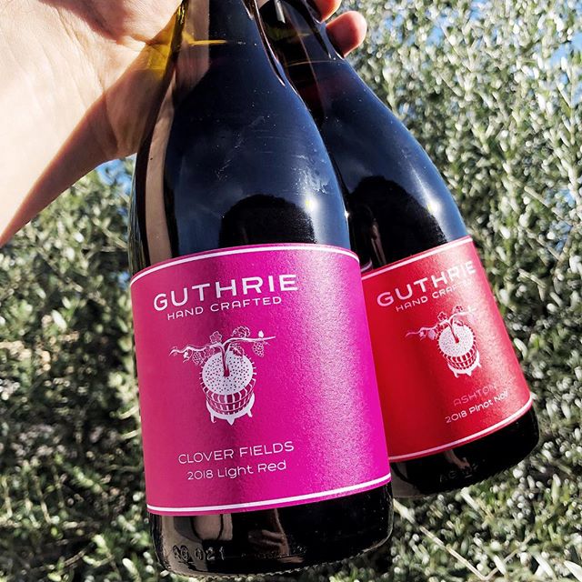 New Pinots from the big HG 🚨
.
What better way to kick things off than with two newies from Hugh Guthrie including a brand new label ‘Clover Fields’. The stalwart ‘Ashton’ Pinot Noir is as expressive as ever, whilst the Light Red is a blend of Meunier, Pinot Noir, Syrah and a touch of Chardonnay. Get around them
.
Available in SA exclusively via Vinify Wine Co
.
@hugewino