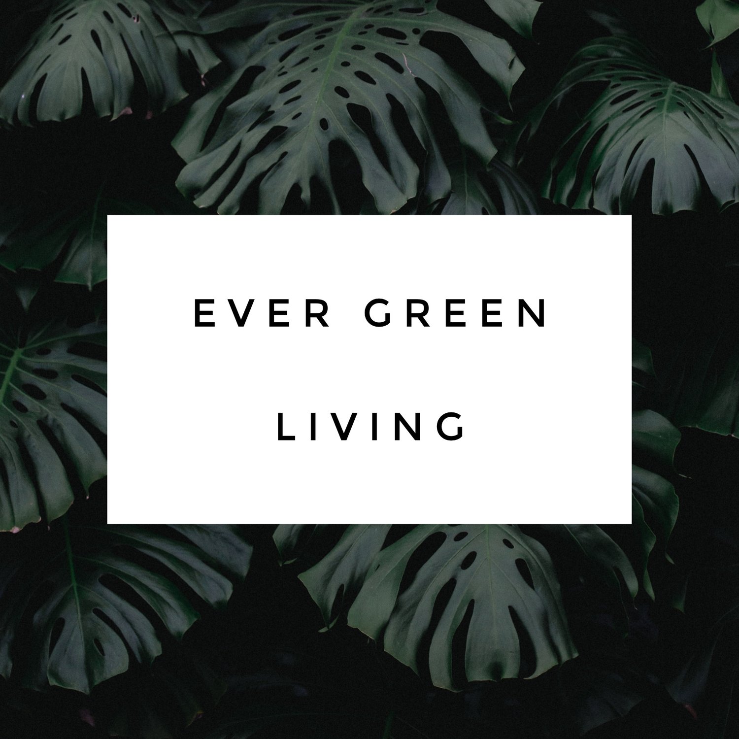 Ever Green Living