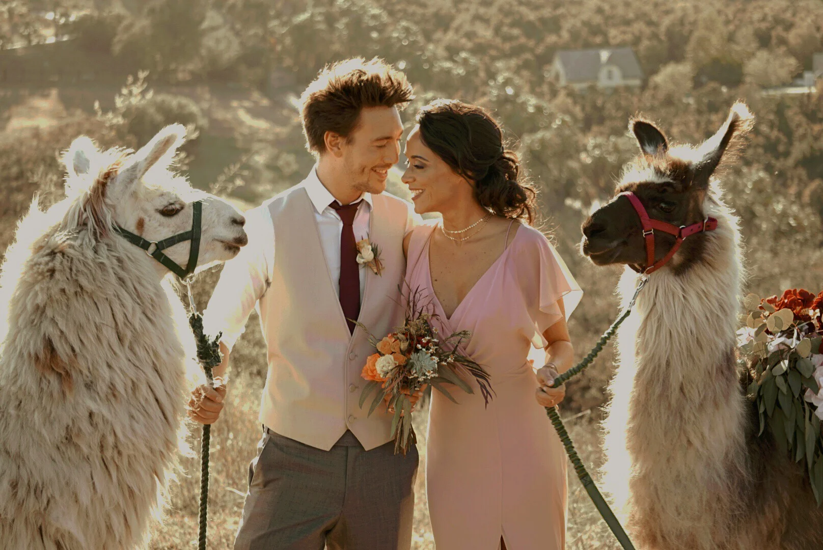 paul + karine + llamas1.JPG