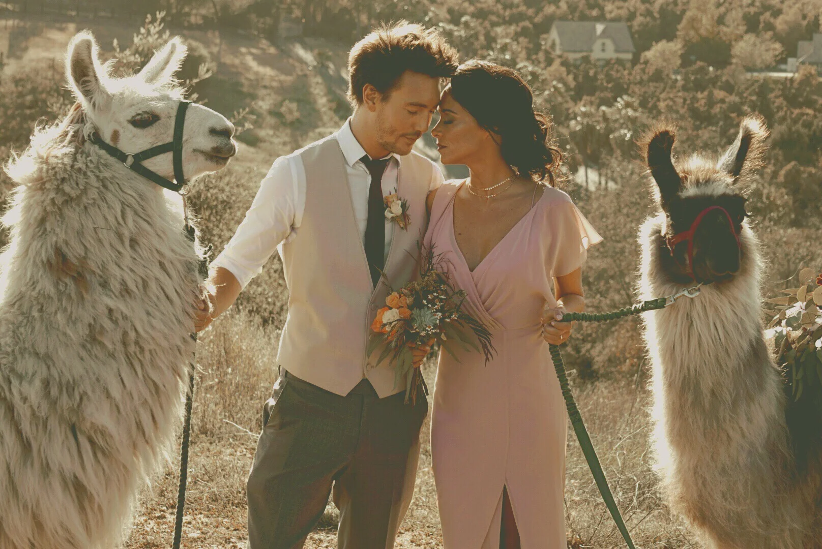 paul + karine + llamas2.JPG