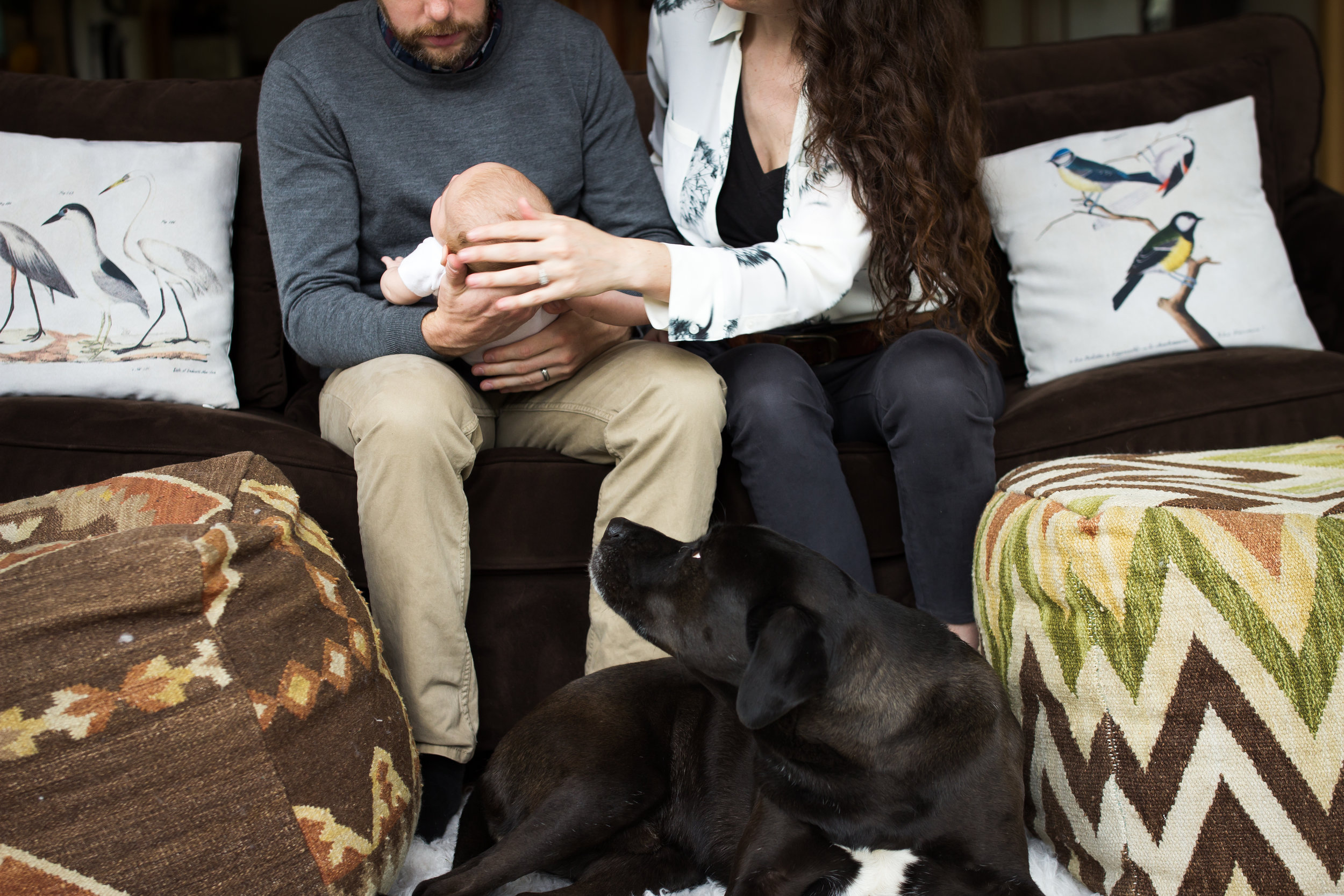Newborn with dog with mom and dad  | Jaime Bugbee Photography