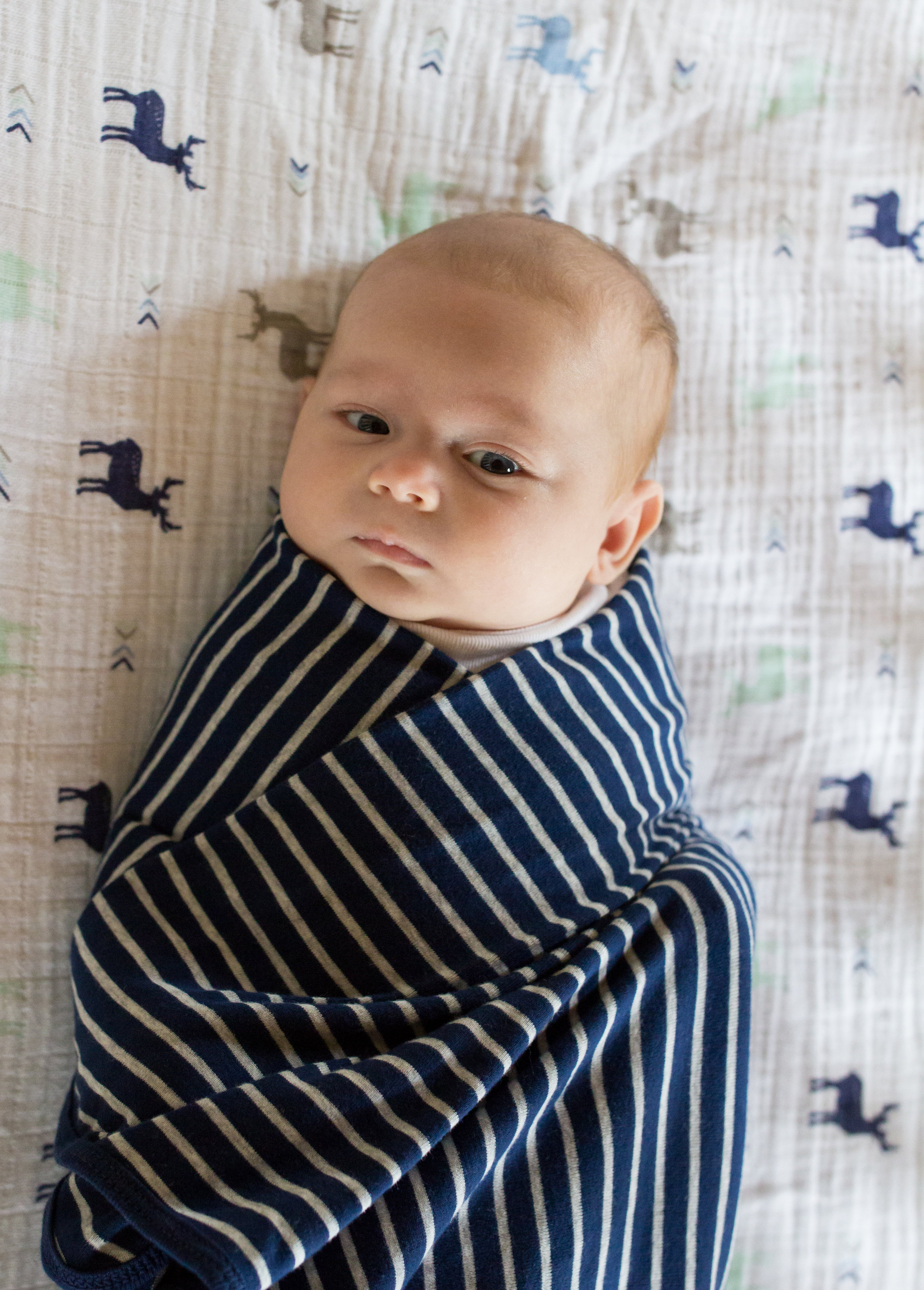 Swaddled newborn in crib | Jaime Bugbee Photography