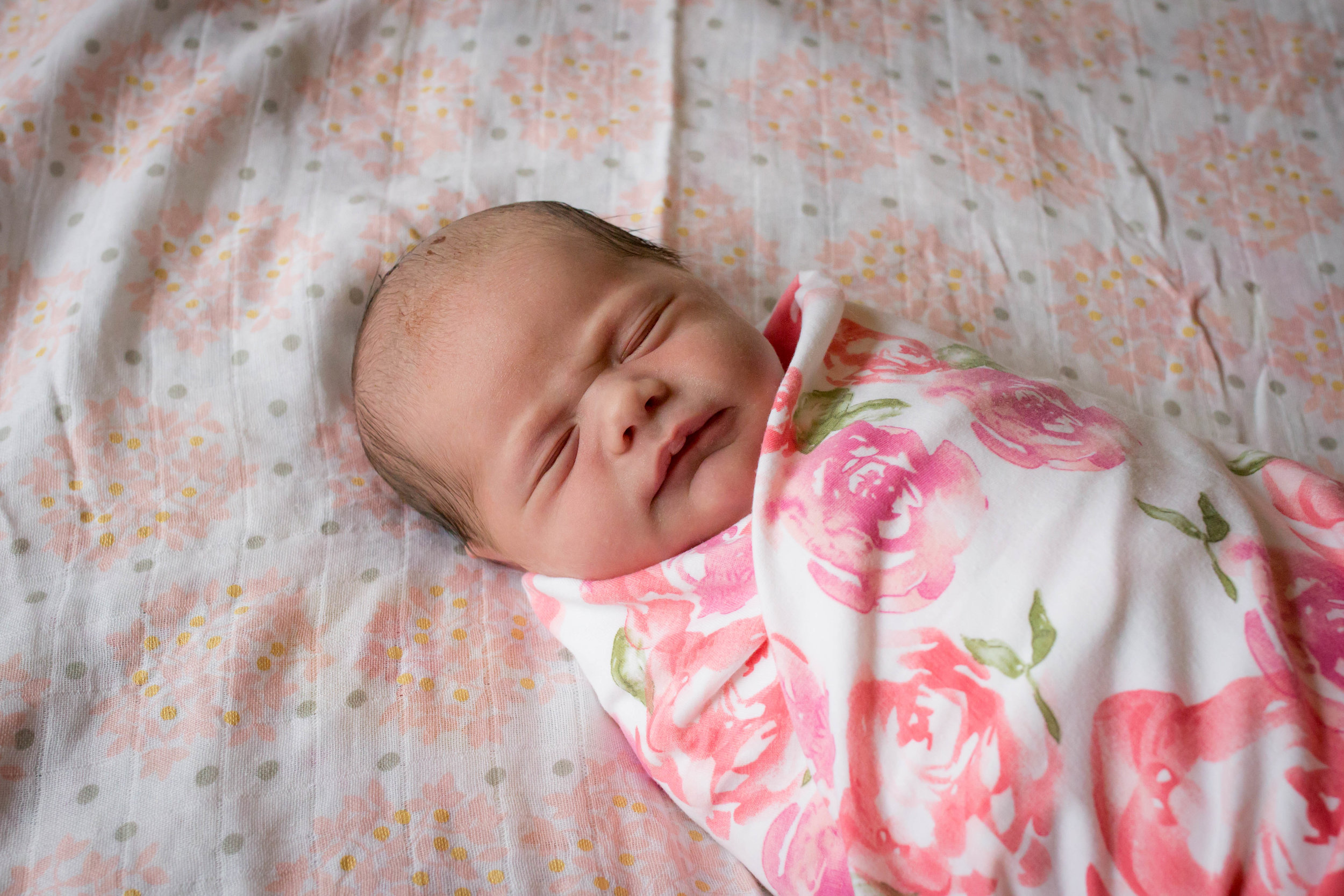 Baby girl in roses | Jaime Bugbee Photography