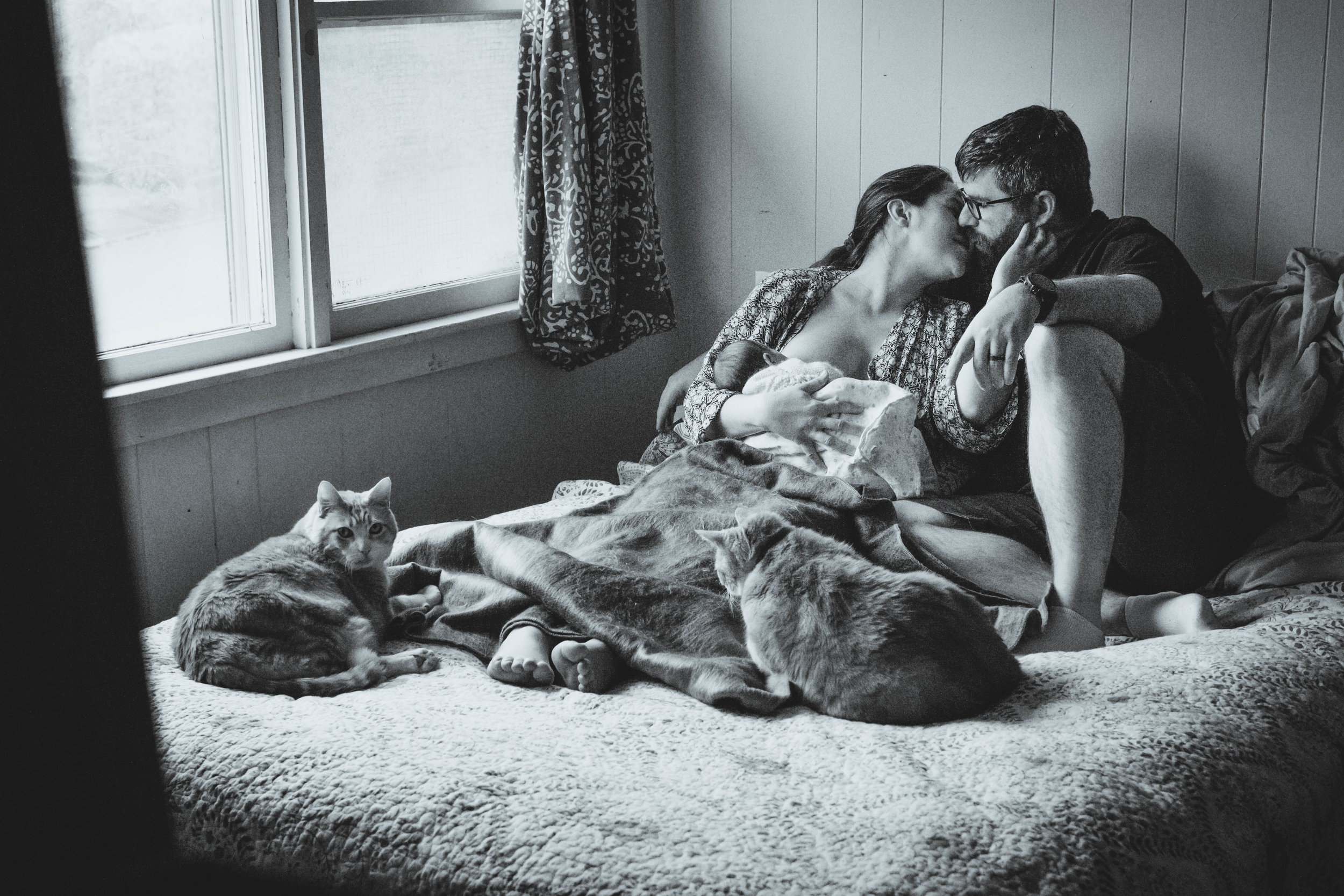 Parents with newborn and cats on bed | Jaime Bugbee Photography