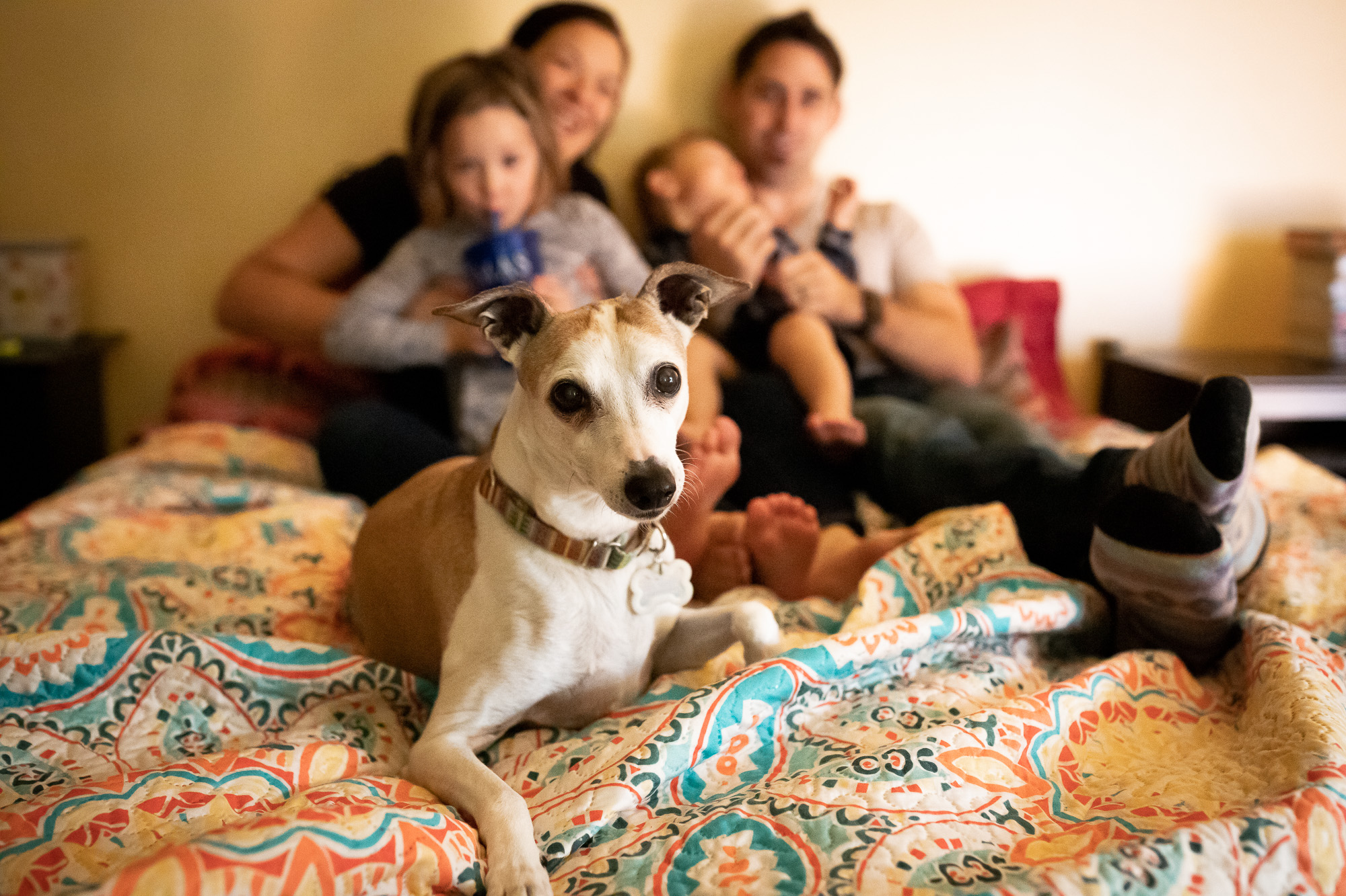 Vancouver Washington Family Photographer | Jaime Bugbee Photography