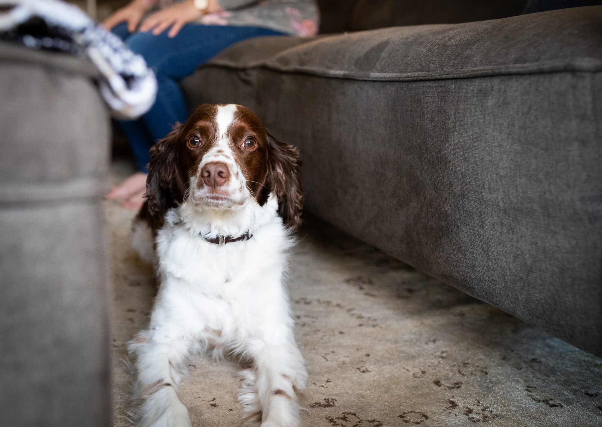 Vancouver Washington Family Photographer | Jaime Bugbee Photography